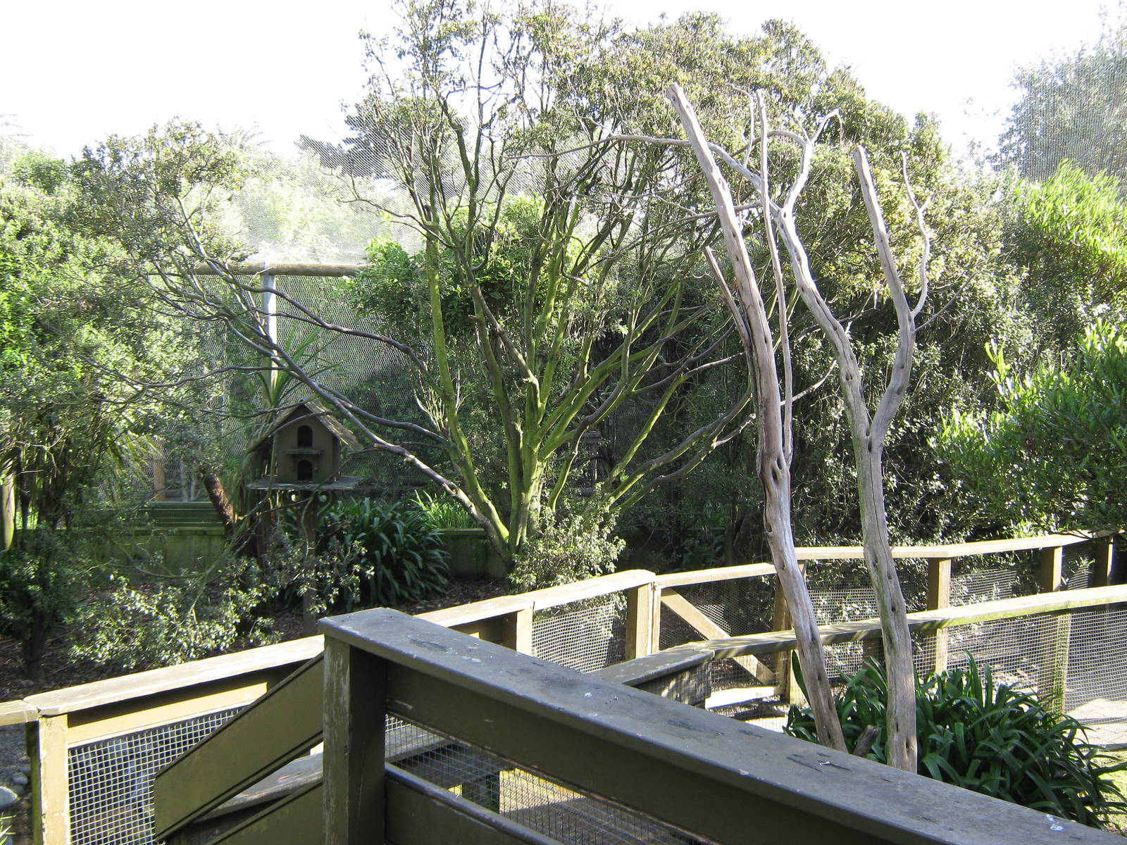 interior of walk-through aviary