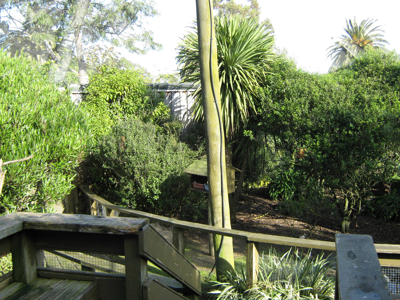 interior of walk-through aviary