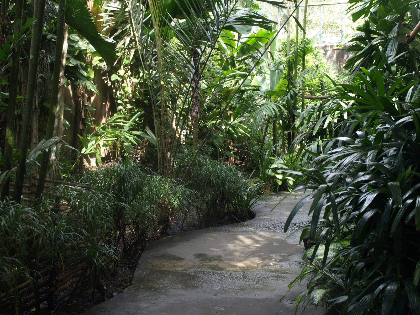 Interior of walk-through aviary