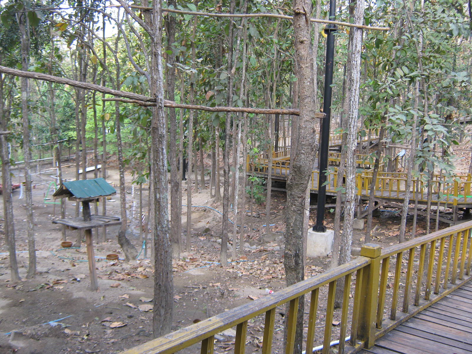 interior of walk-through aviary