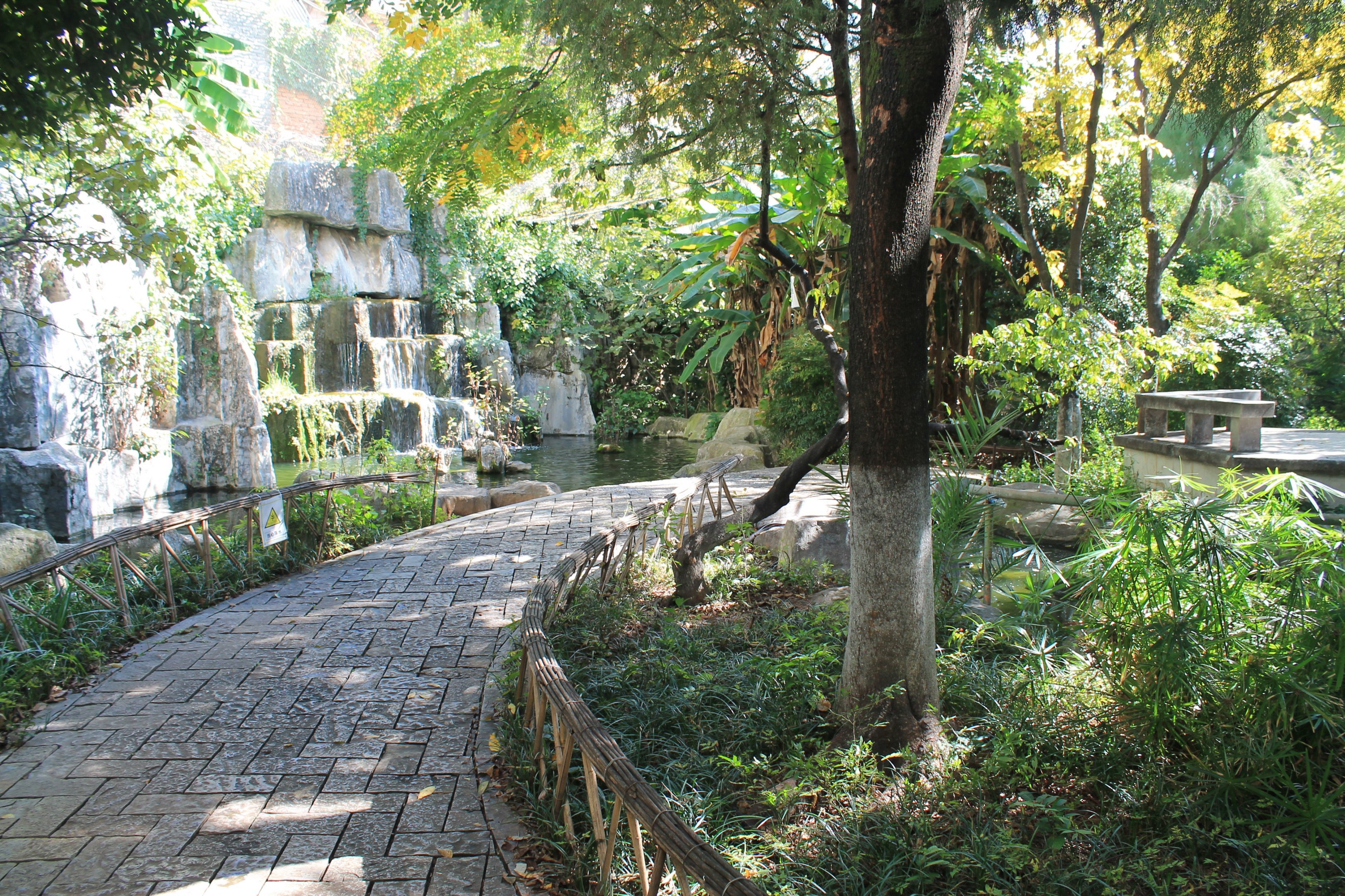 interior of walk-through aviary