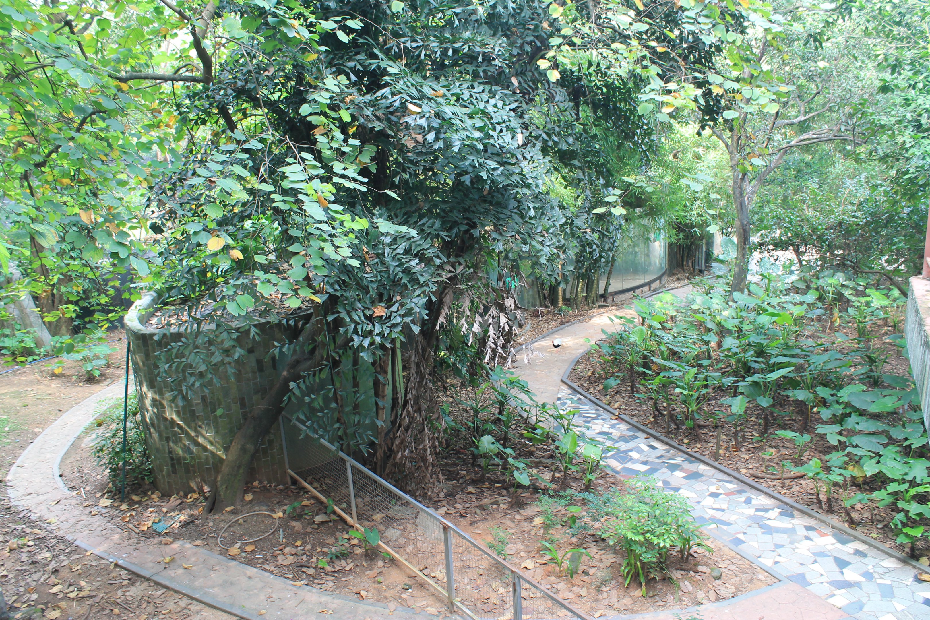 Interior of walk-through aviary