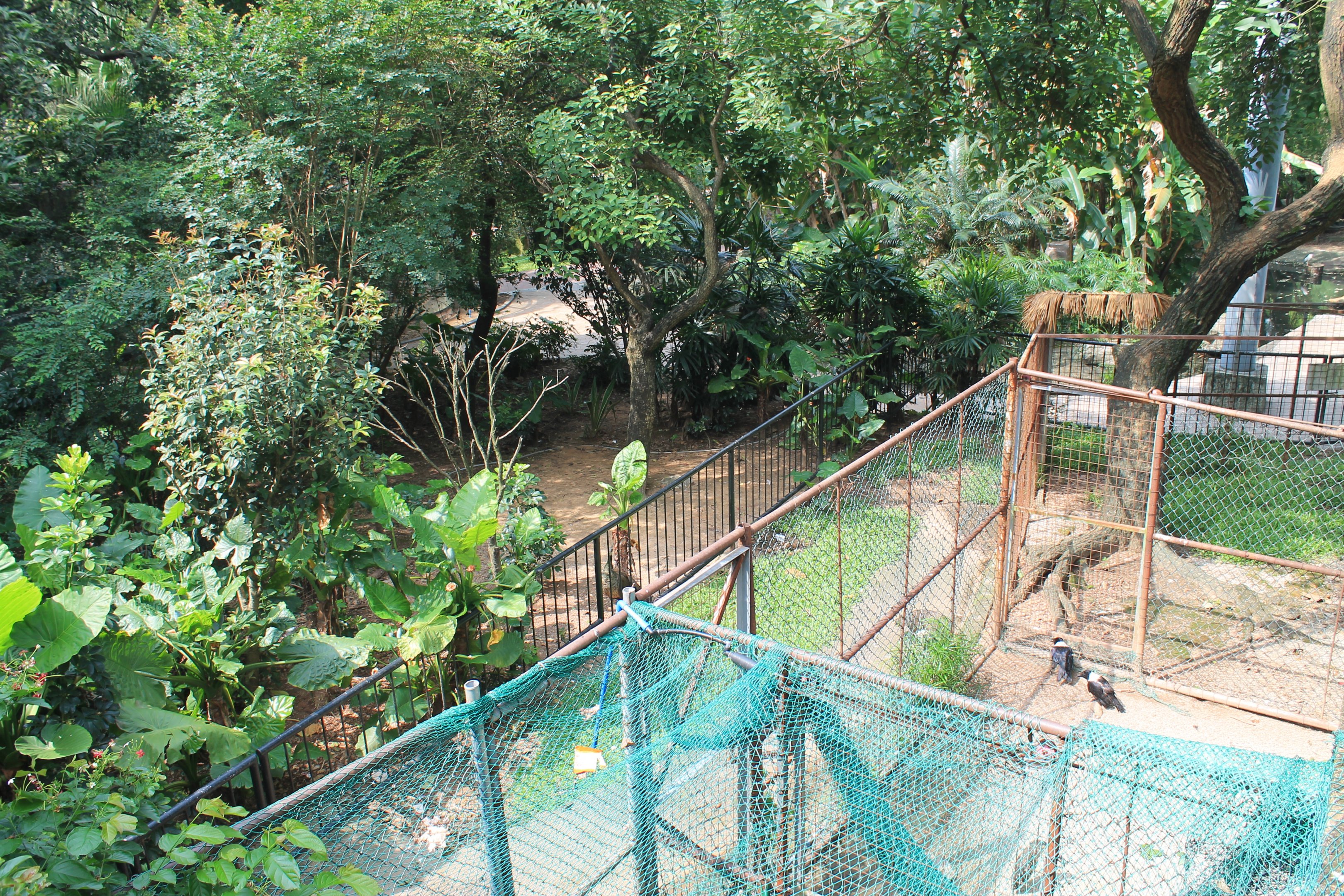 Interior of walk-through aviary