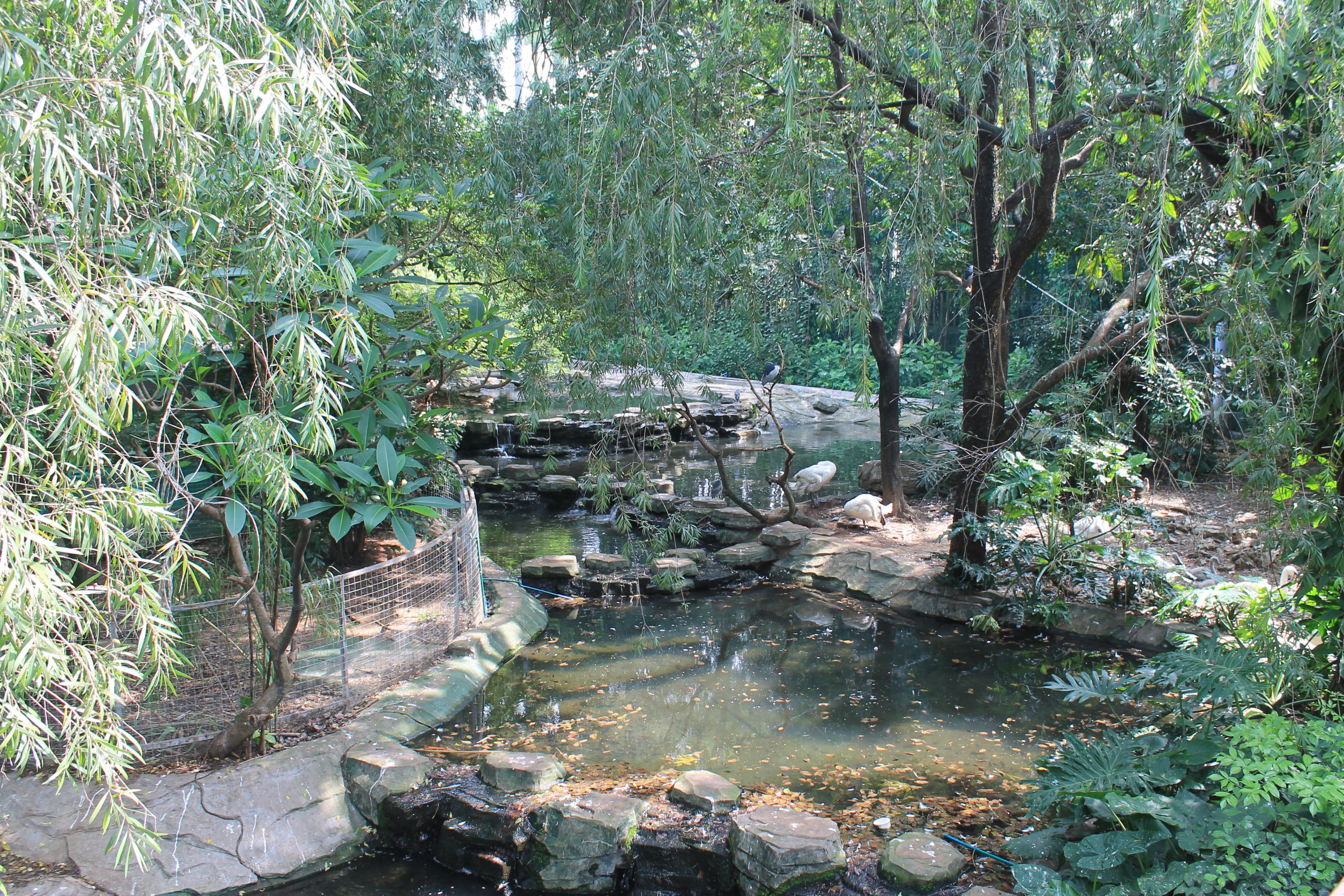 Interior of walk-through aviary