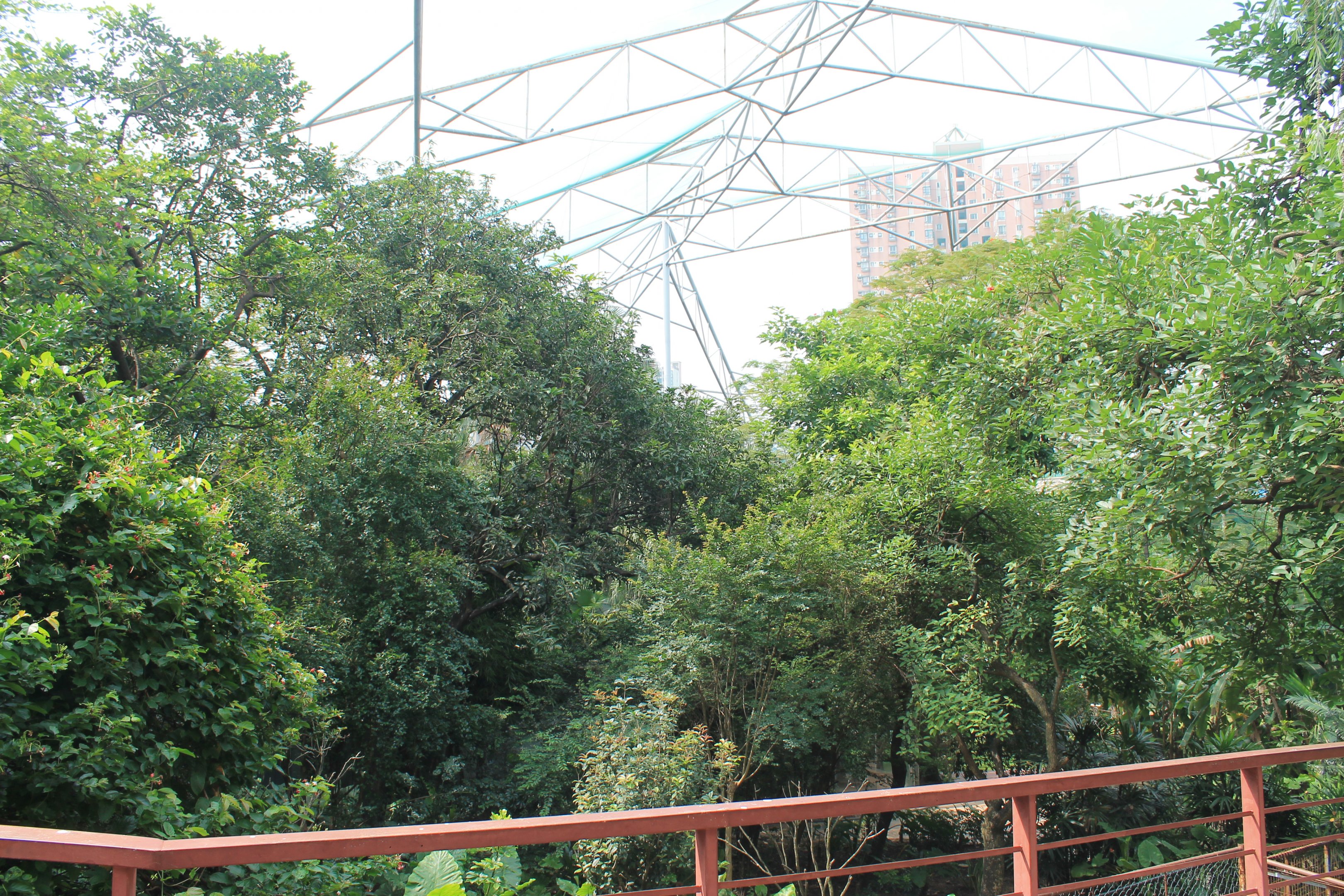 Interior of walk-through aviary