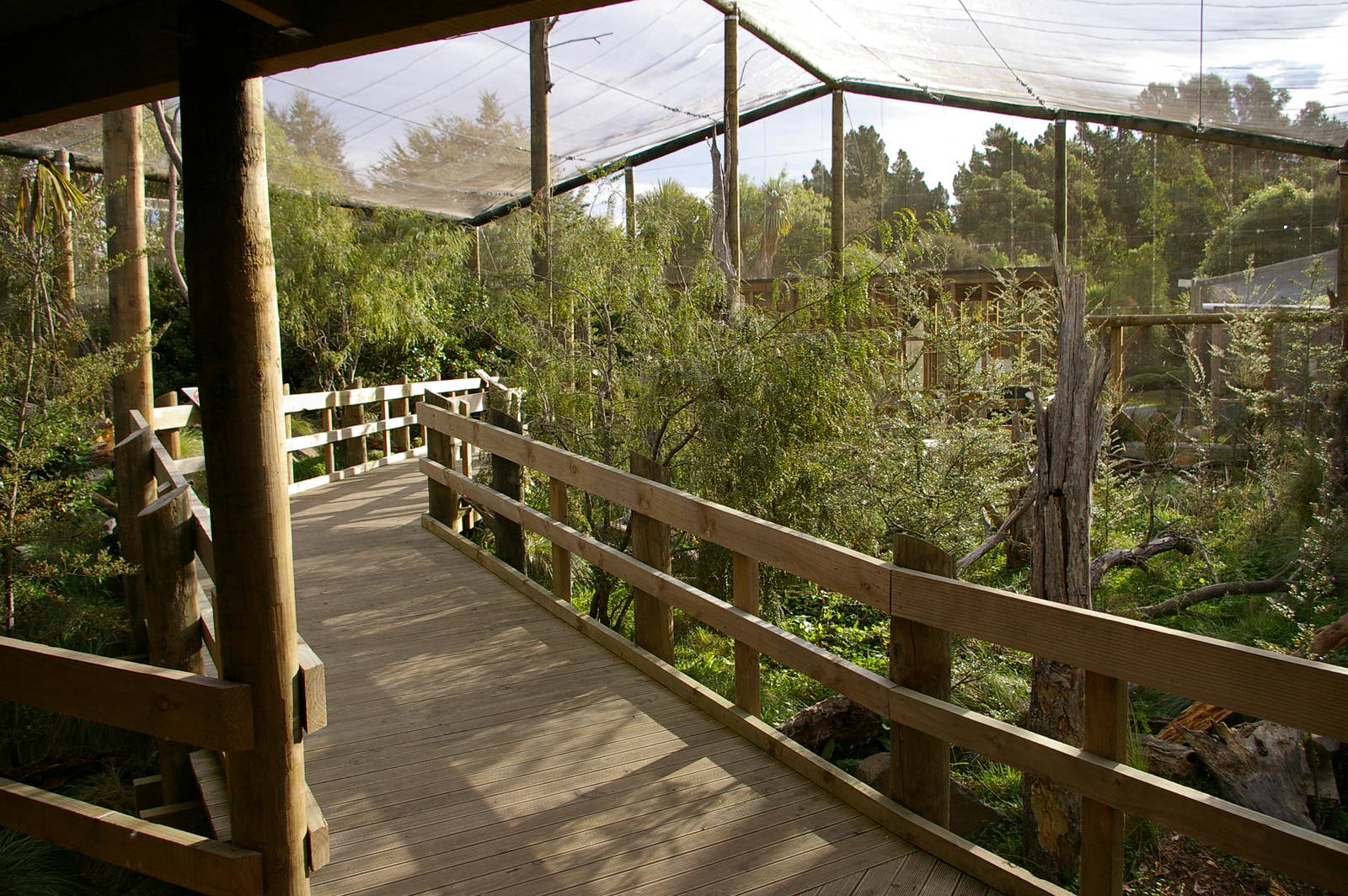 interior of walk-through kea aviary