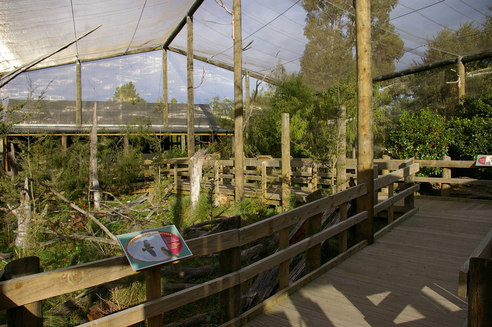interior of walk-through kea aviary
