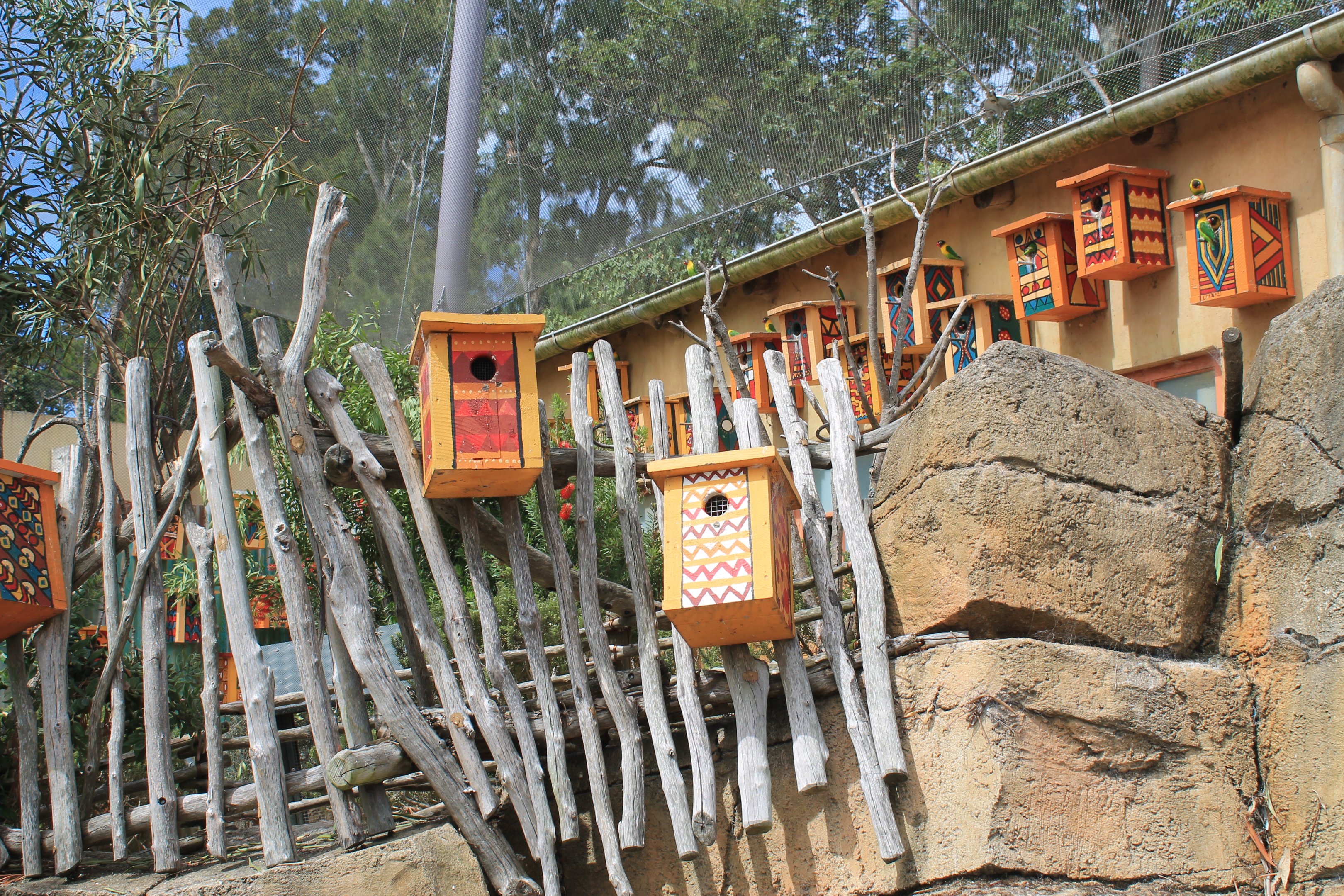 interior of walk-through lovebird aviary