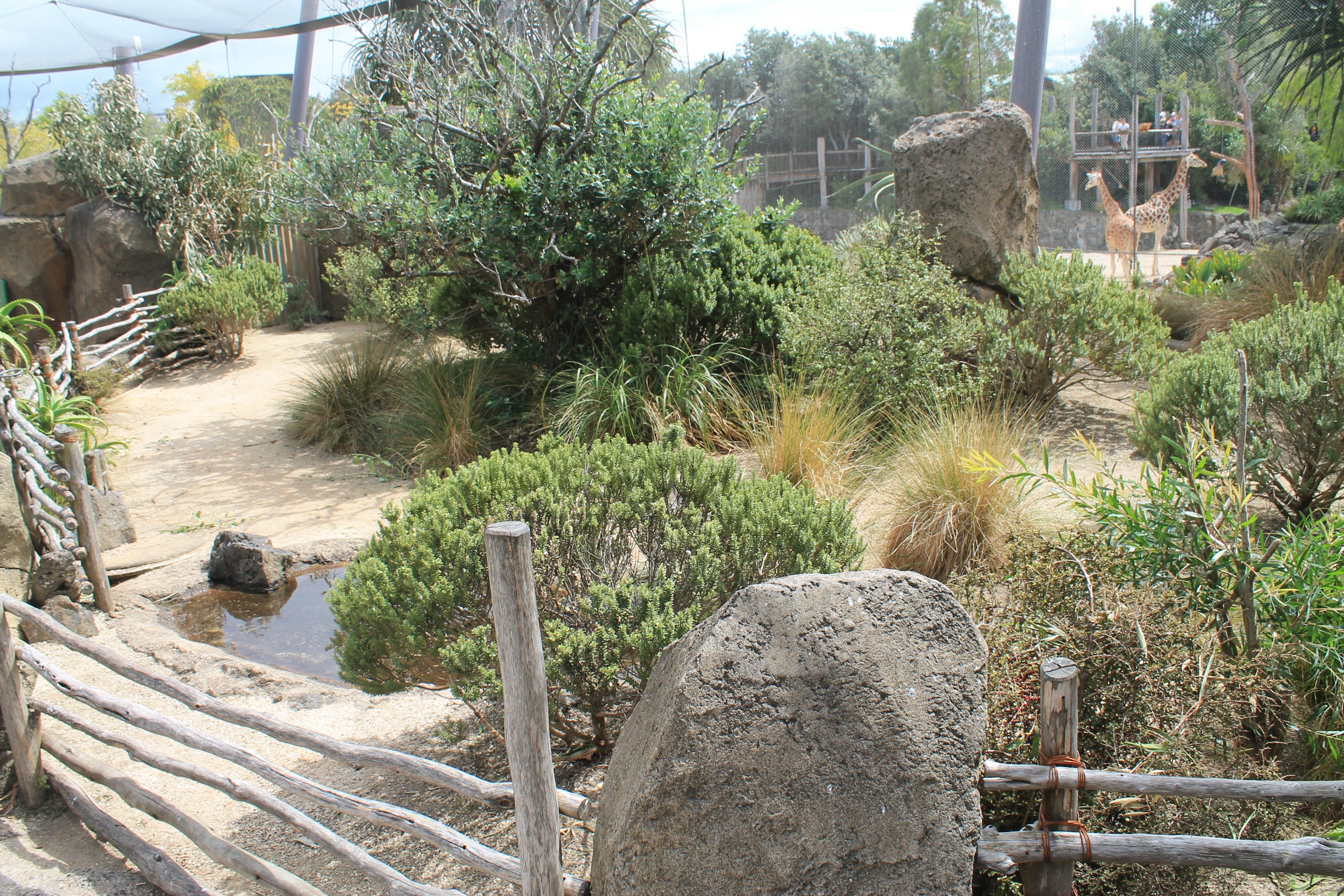 interior of walk-through lovebird aviary