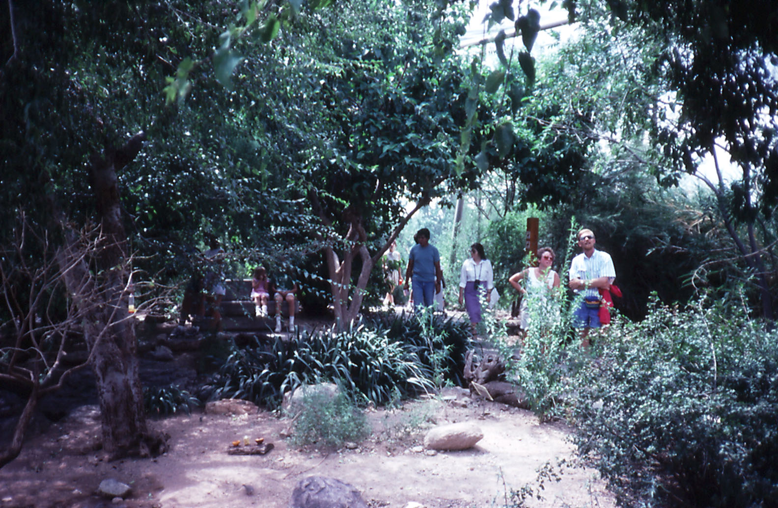 Interior of Walkthrough Aviary