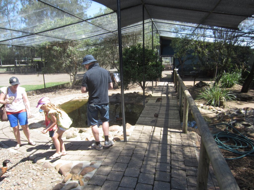 Interior of Walkthrough Aviary