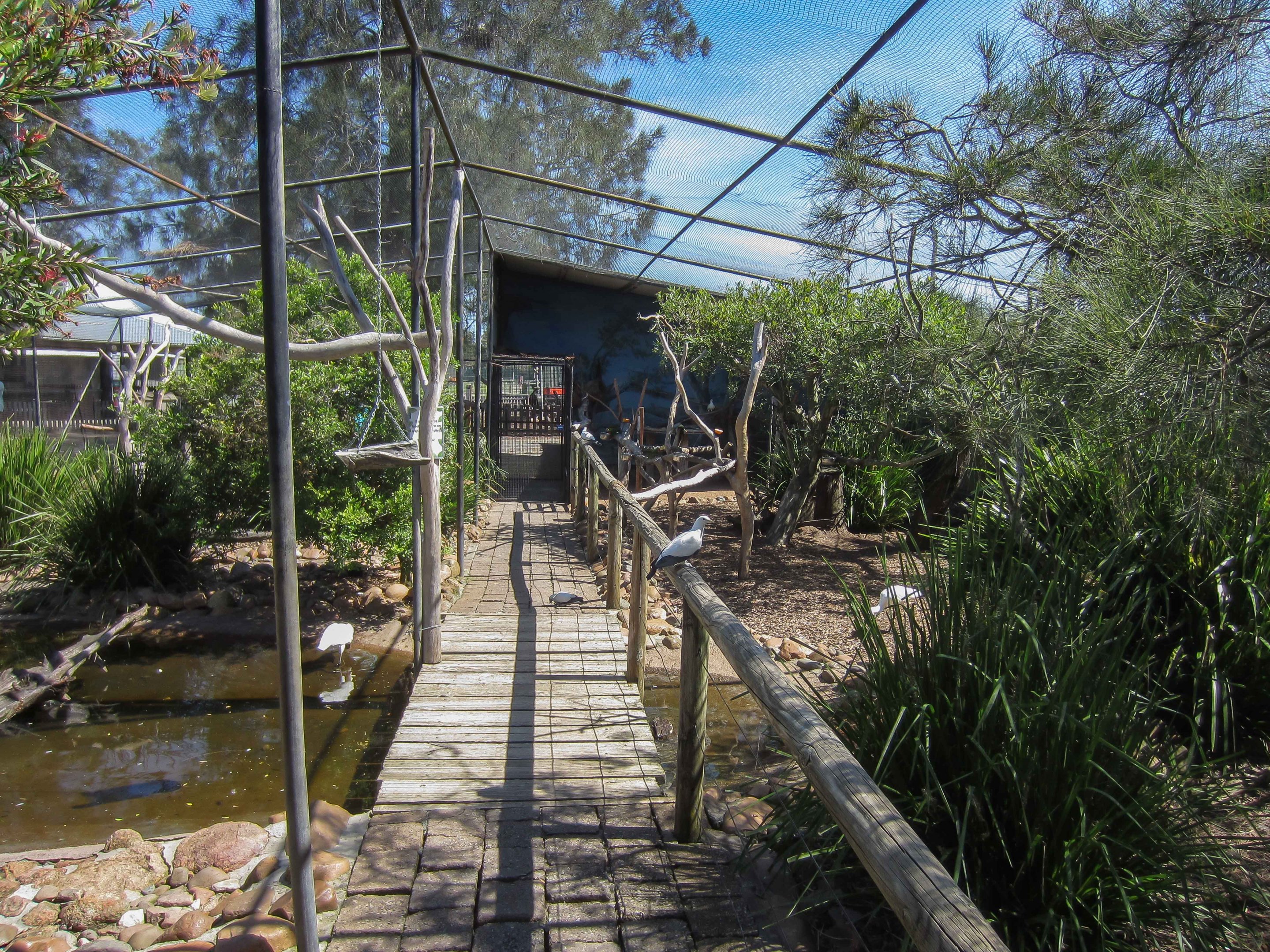 Interior of Walkthrough aviary
