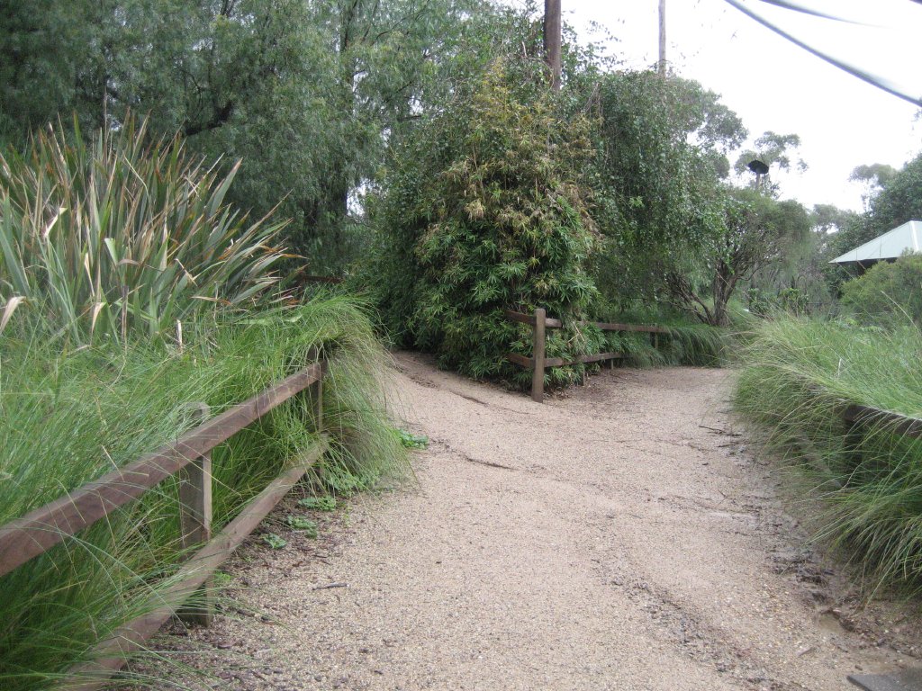 Interior of Walkthrough Aviary