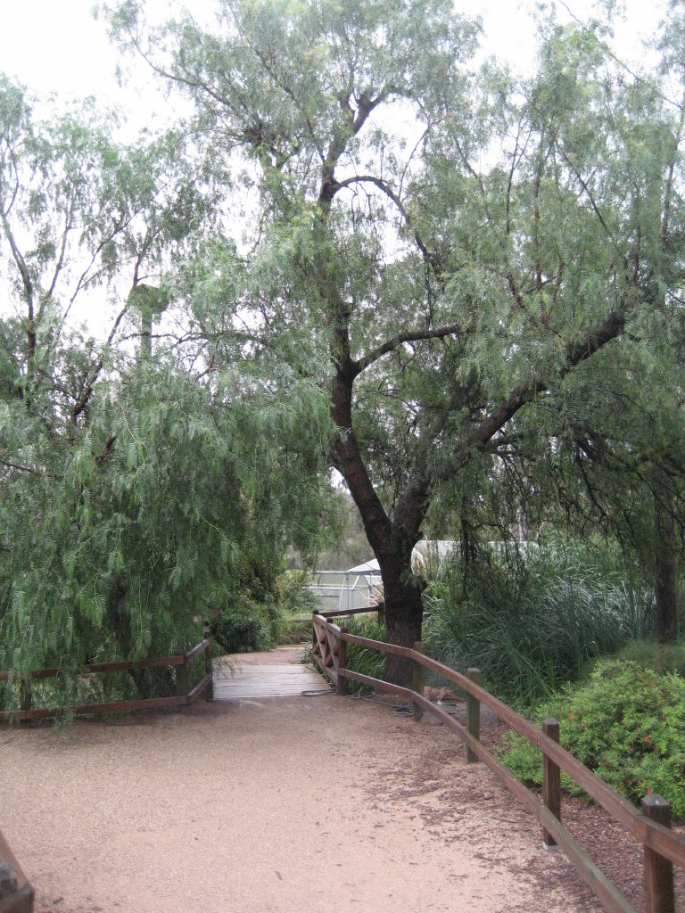 Interior of Walkthrough Aviary