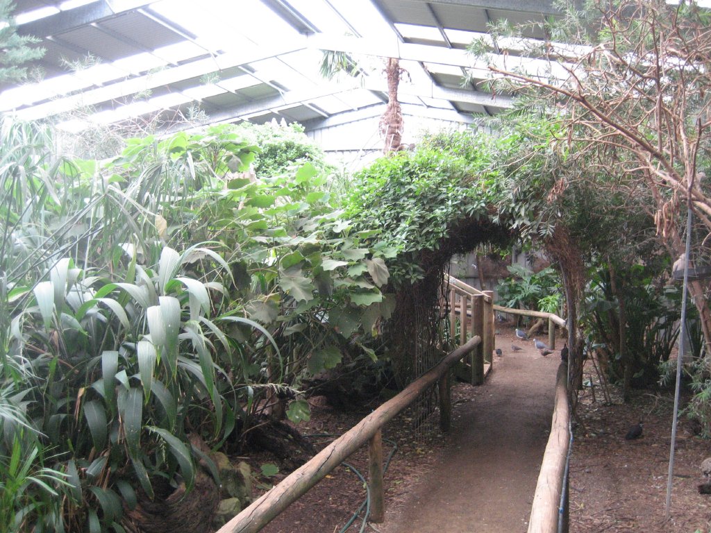 Interior of Walkthrough Aviary