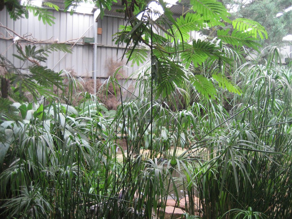 Interior of Walkthrough Aviary