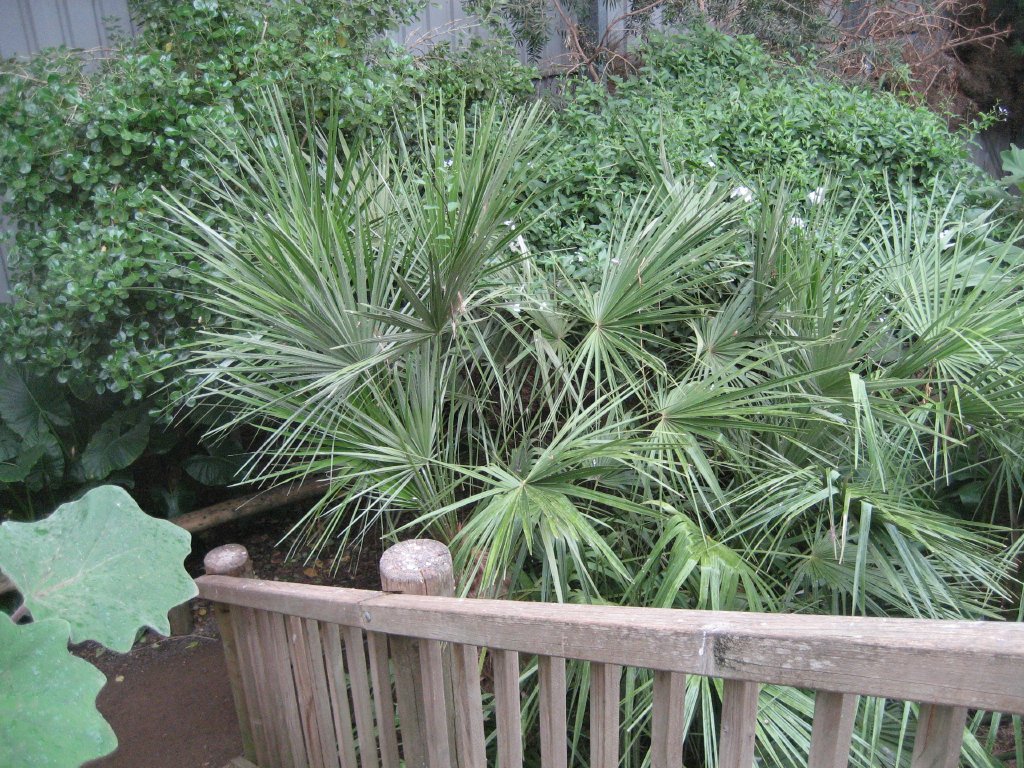 Interior of Walkthrough Aviary
