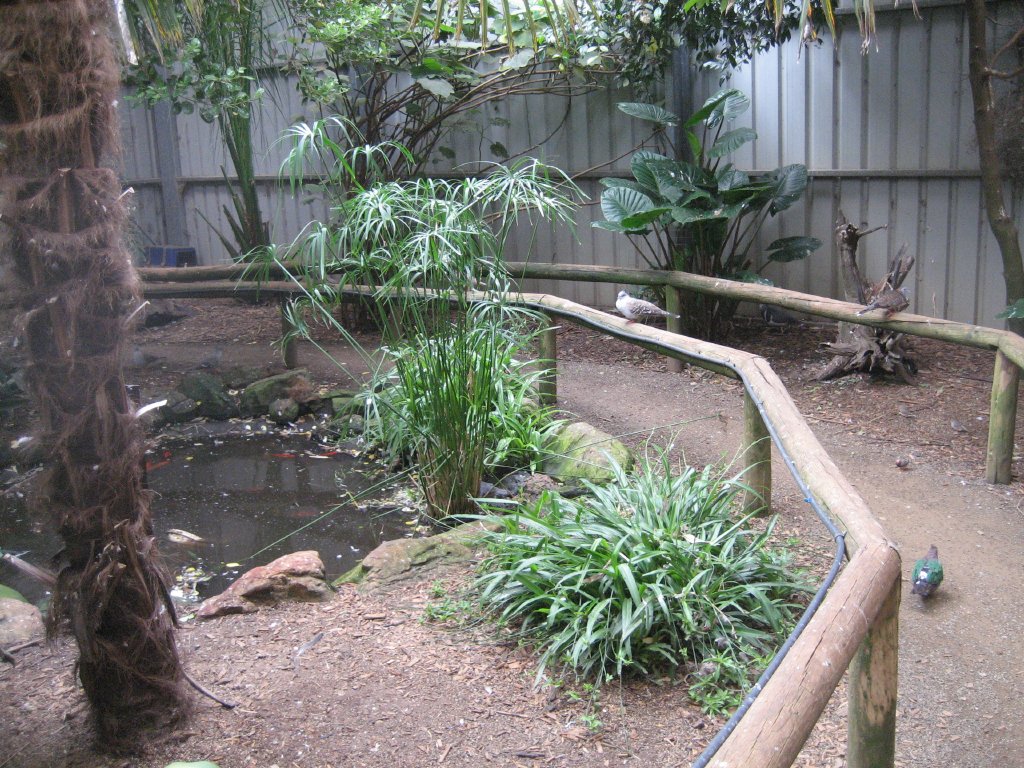 Interior of Walkthrough Aviary