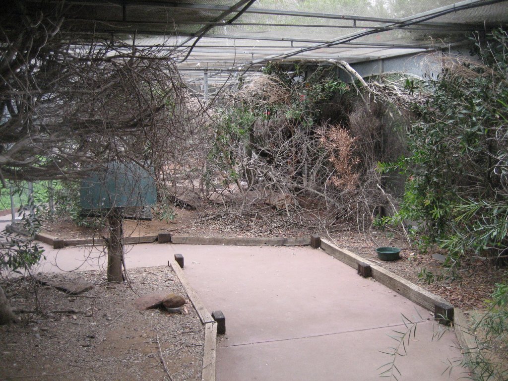 Interior of Walkthrough