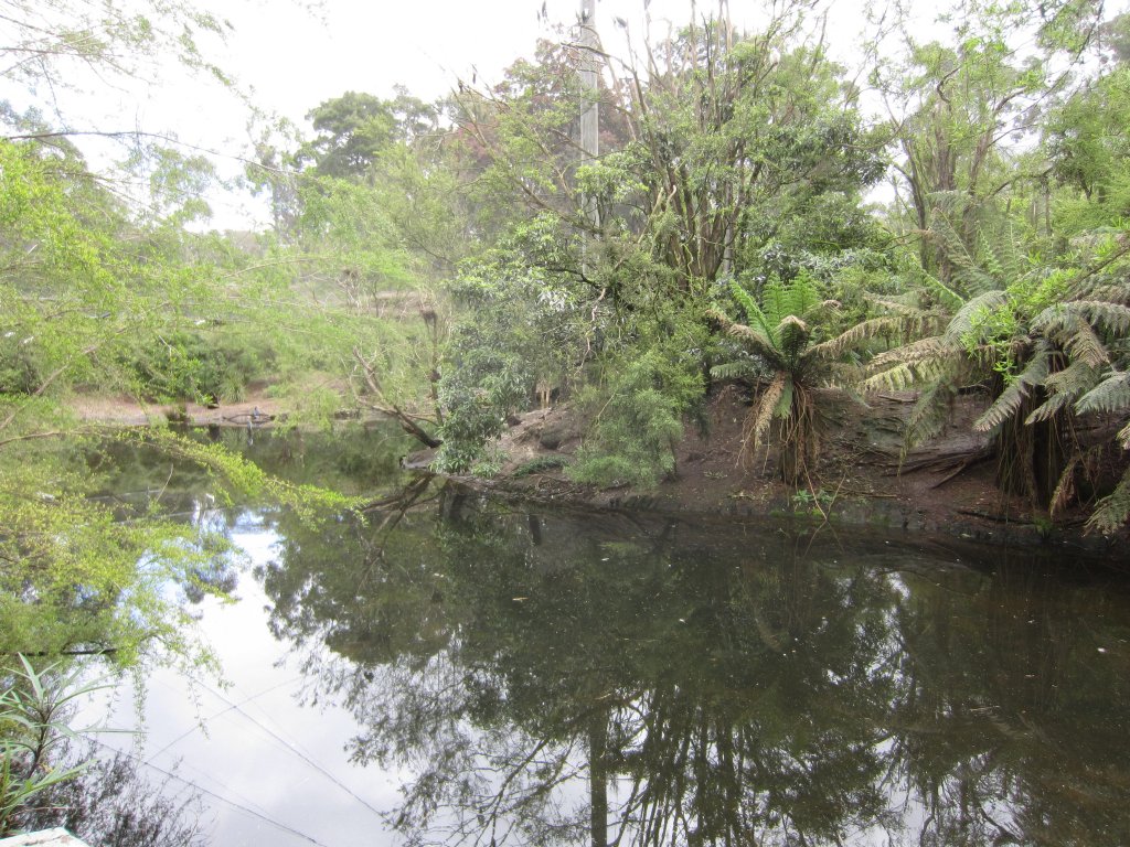 Interior of Wetlands Aviary
