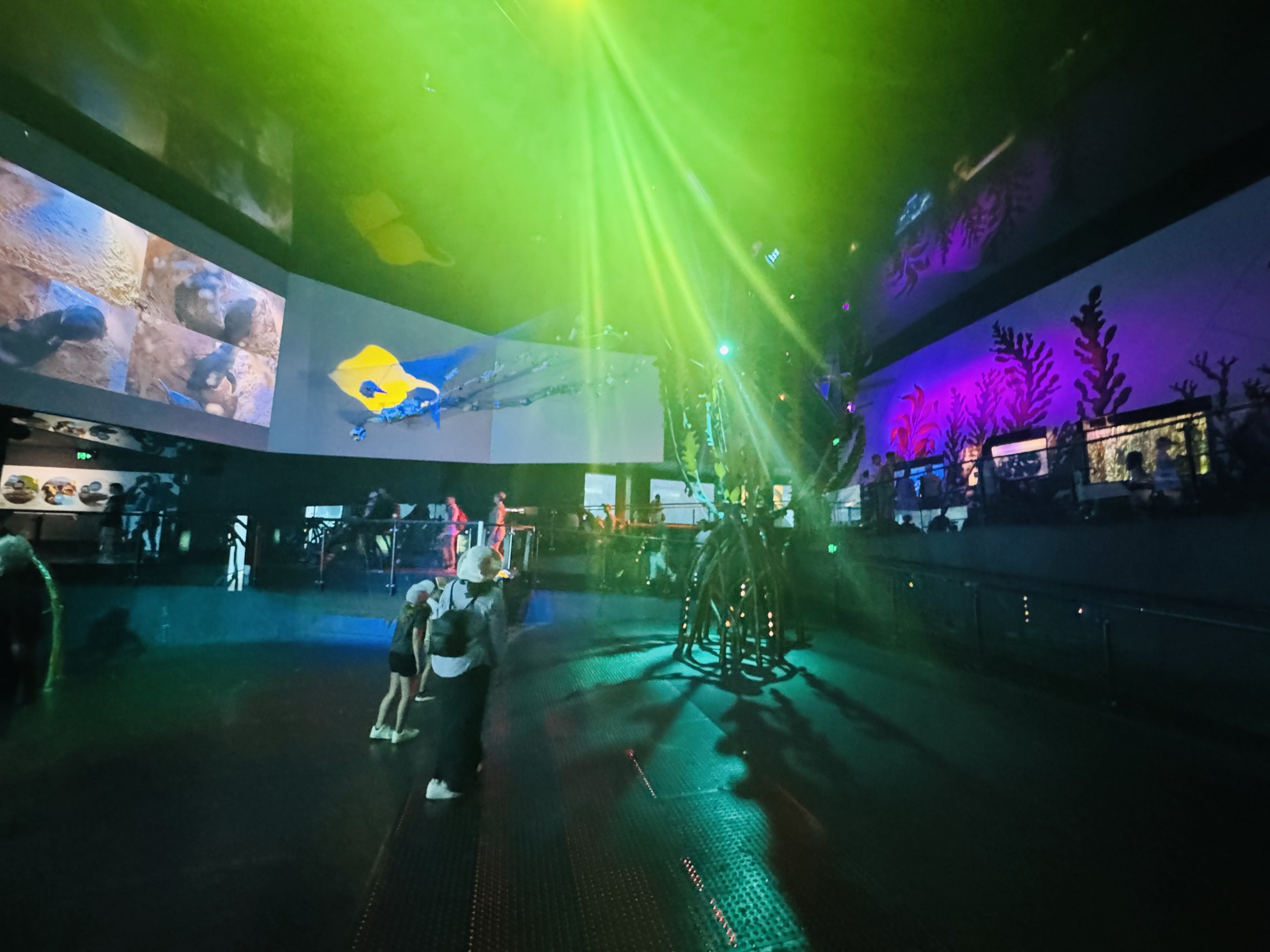 Interior of Wild Sea