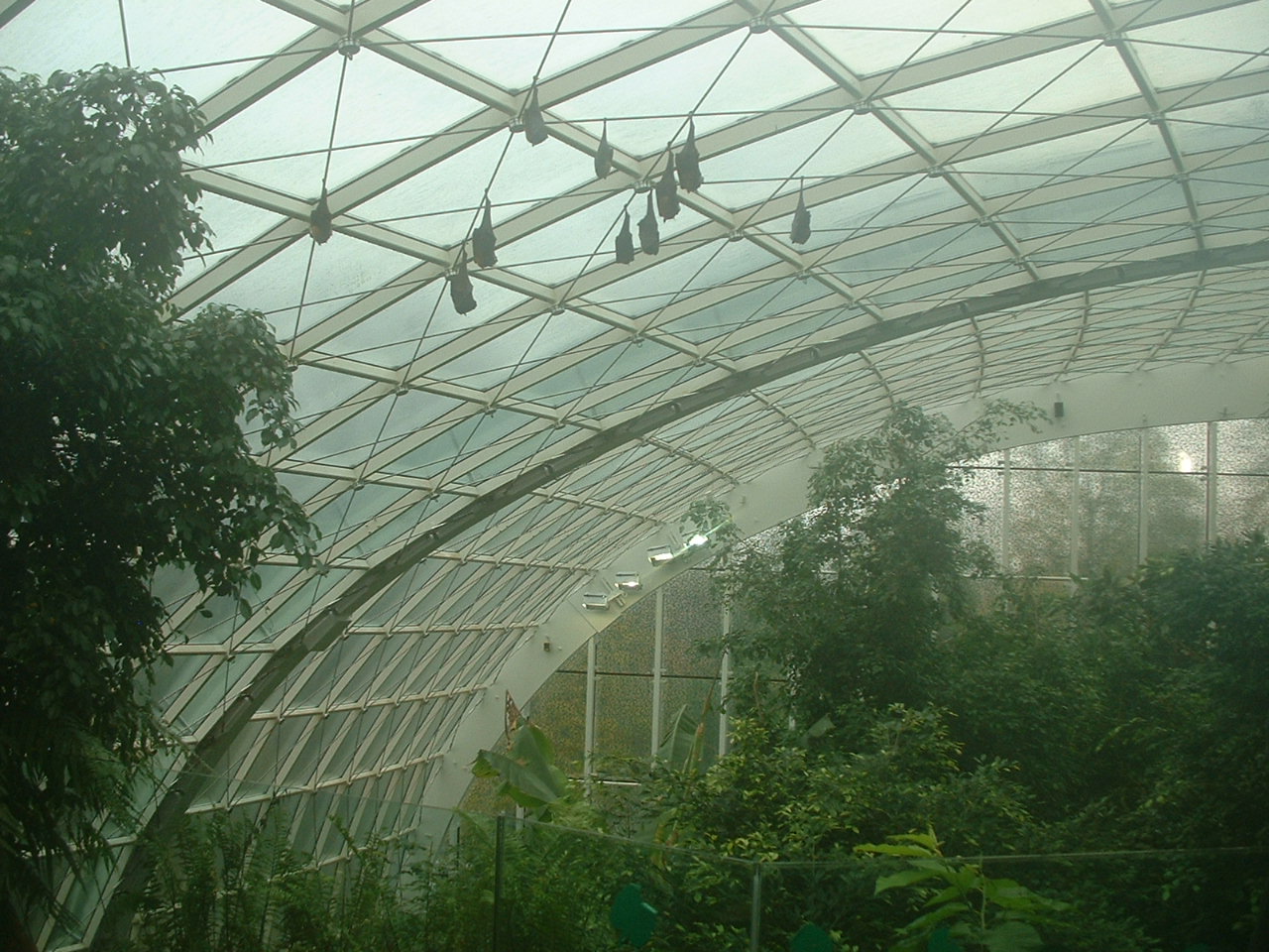 Interior Rainforest House - Vienna 2006