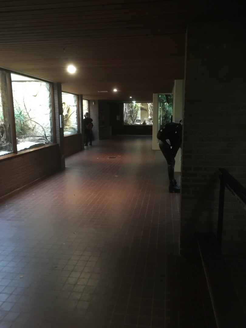 Interior small mammal house