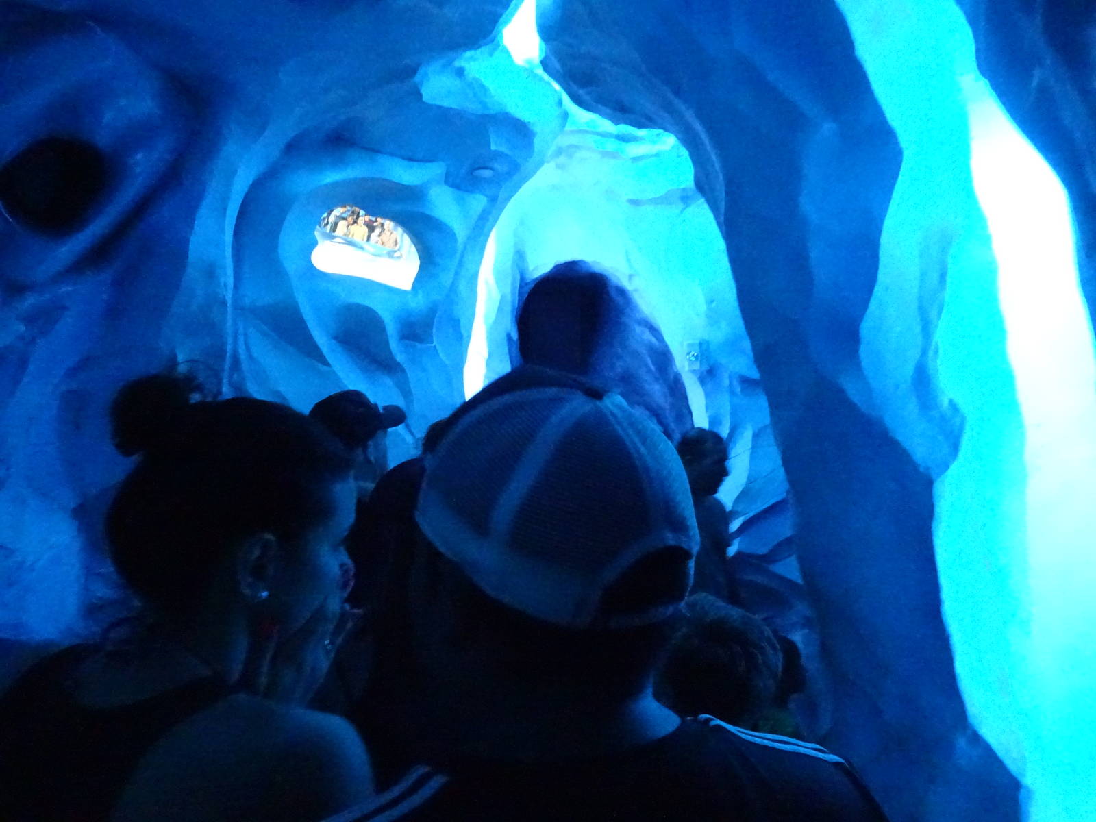 Interior View of Antarctica: Empire of the Penguin at SeaWorld Orlando