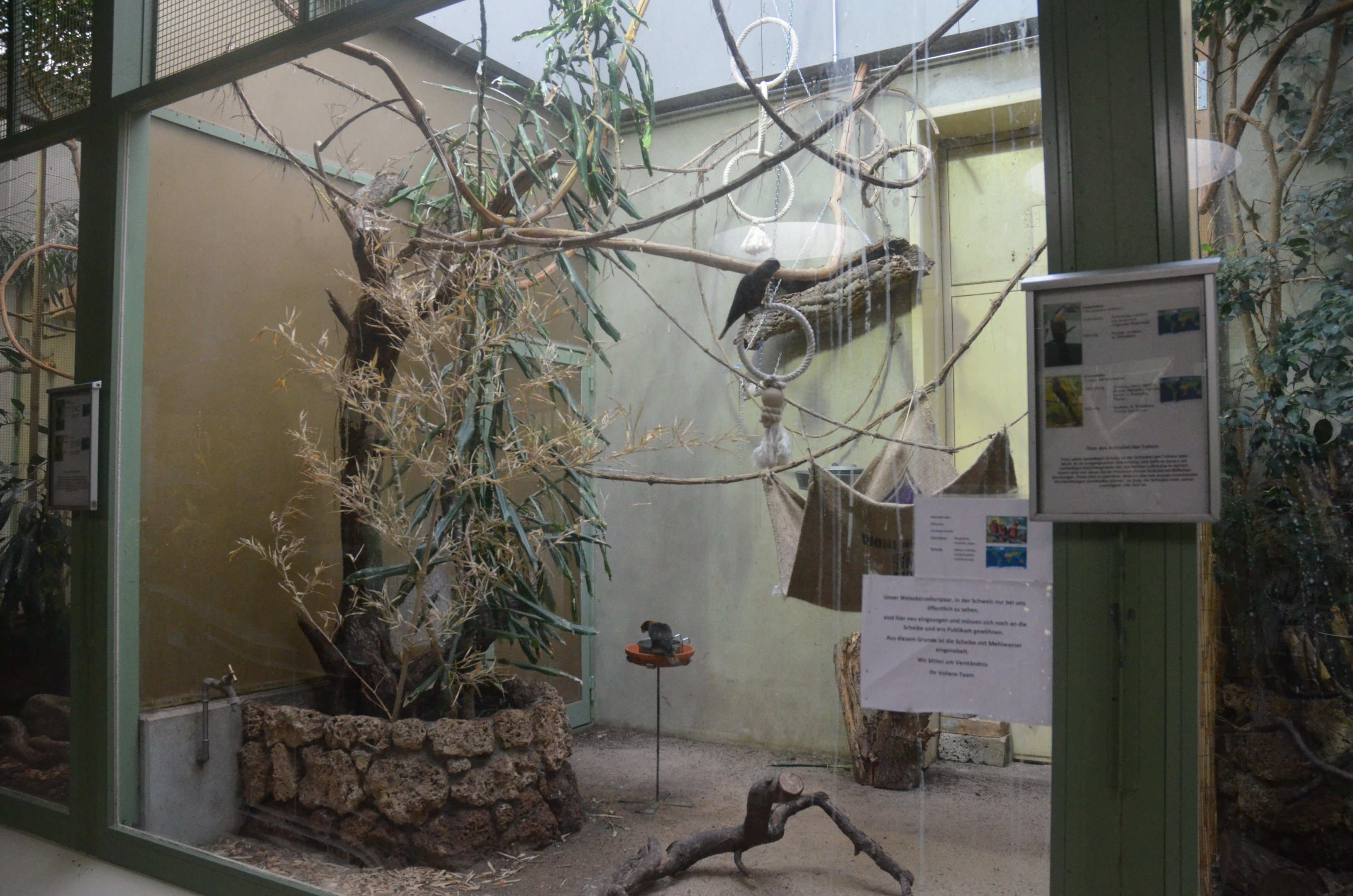 Internal Aviaries at Voliere Zurich (Mythenquai), 13/09/16