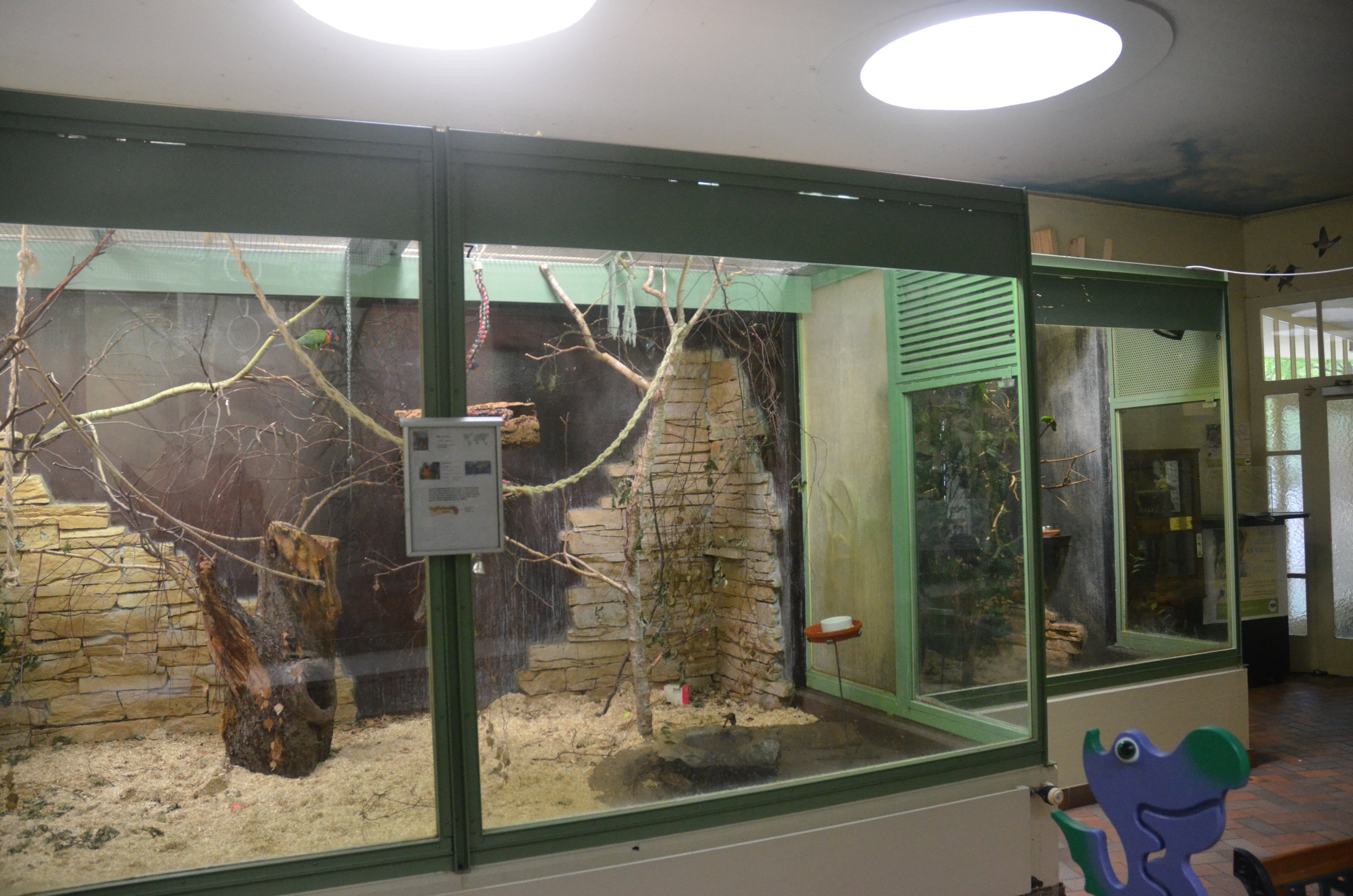 Internal Aviaries at Voliere Zurich (Mythenquai), 13/09/16