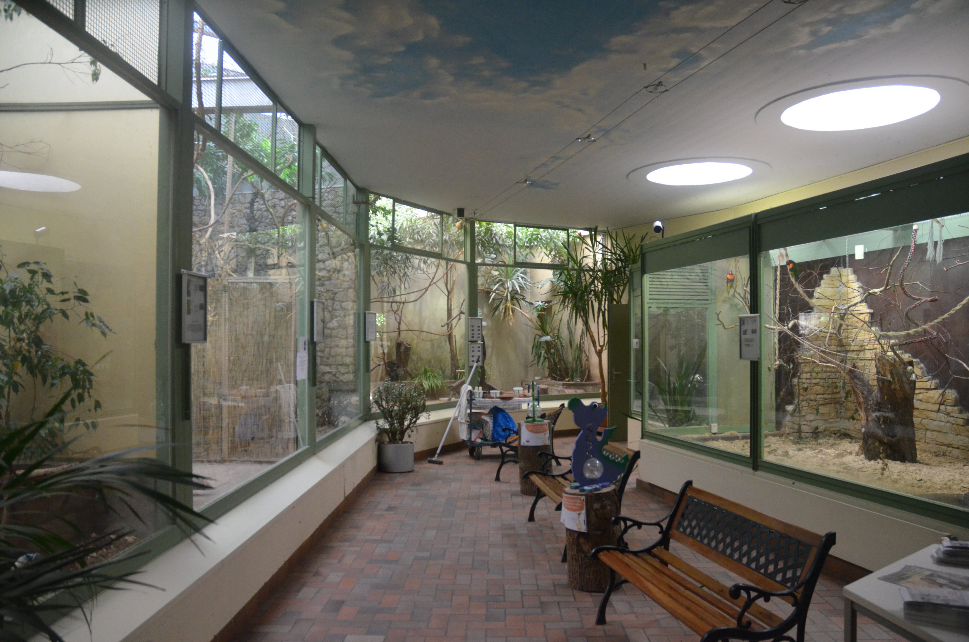 Internal Aviaries at Voliere Zurich (Mythenquai), 13/09/16