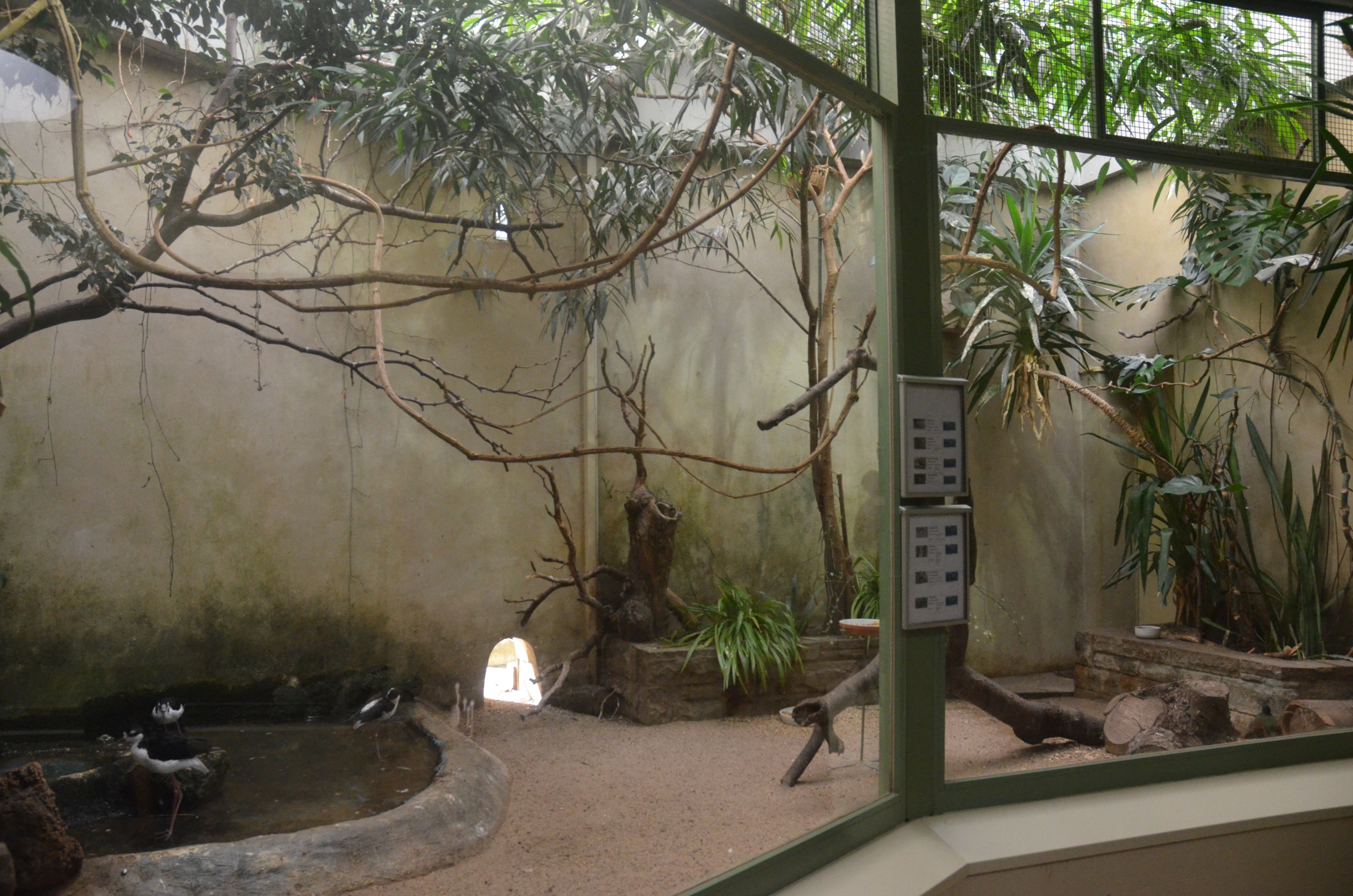 Internal Aviaries at Voliere Zurich (Mythenquai), 13/09/16