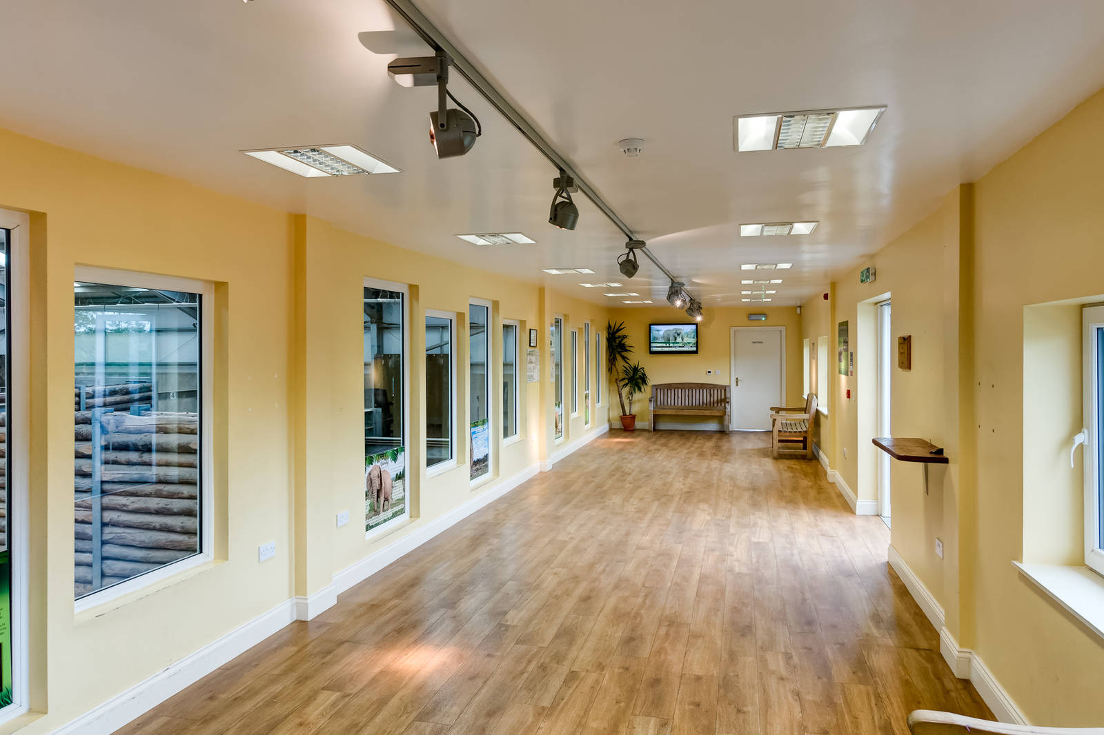 Internal Elephant Viewing Gallery - 21/06/2015