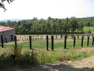 International Conservation Center - Elephant Yard