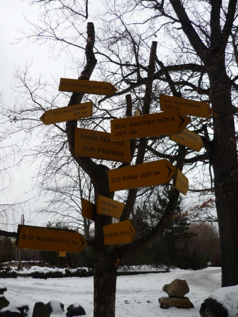 "International Friendship"