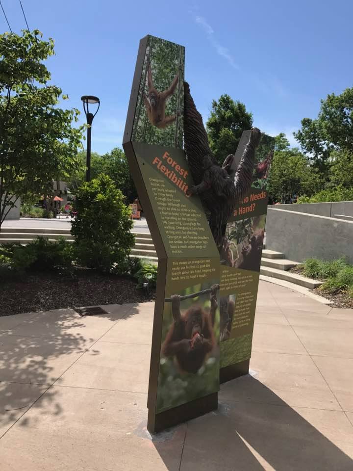 International Orangutan Center