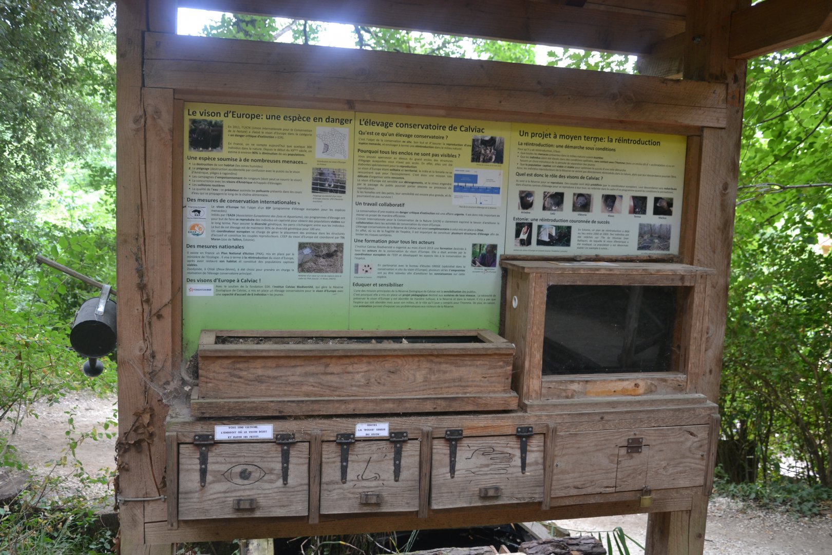 Interpretation area for European Mink
