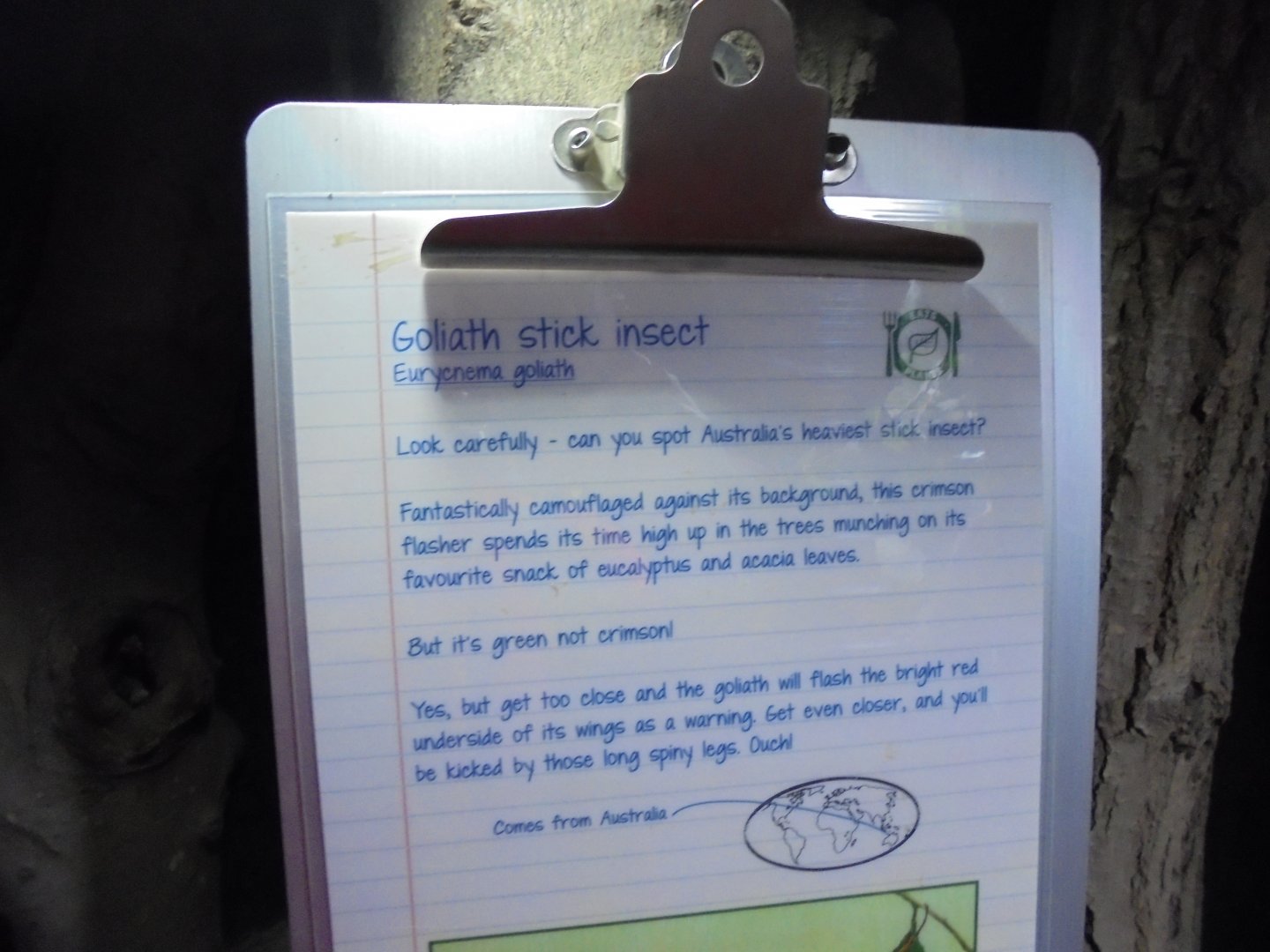 Interpretation example in the Bug House