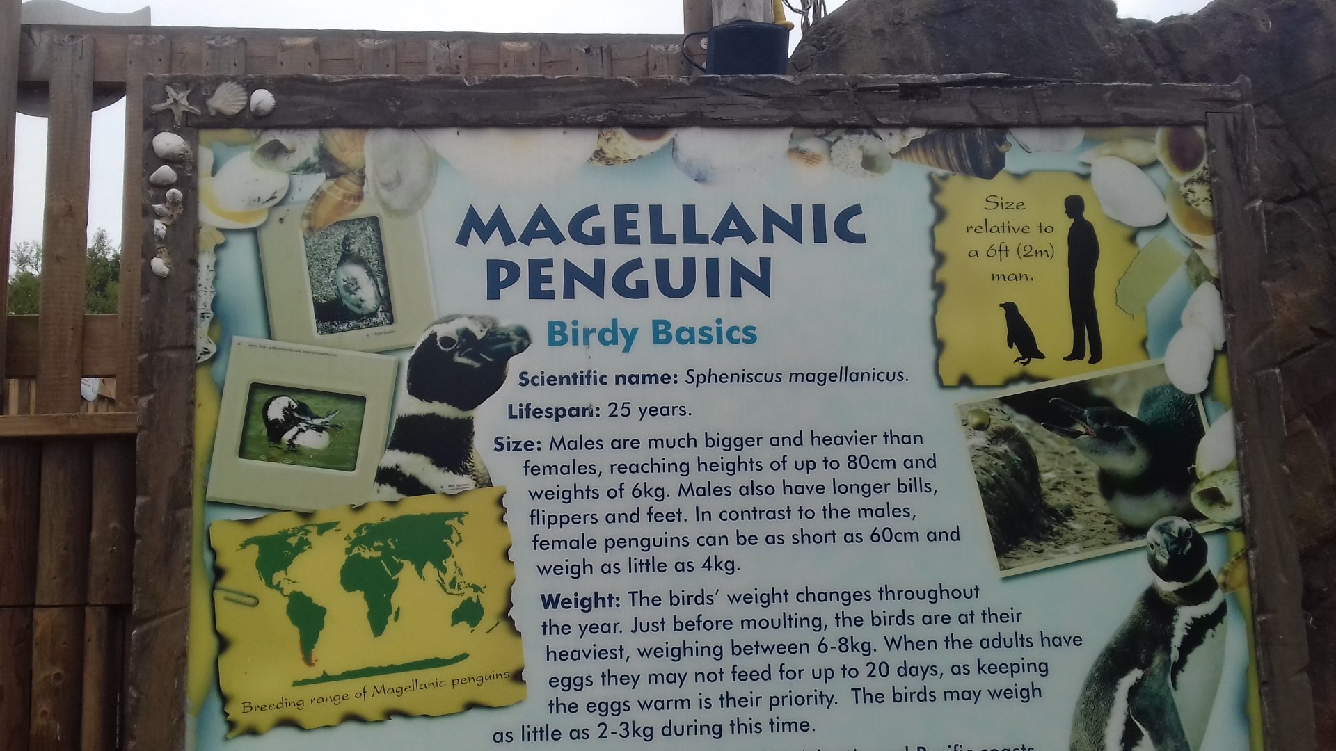 Interpretation example