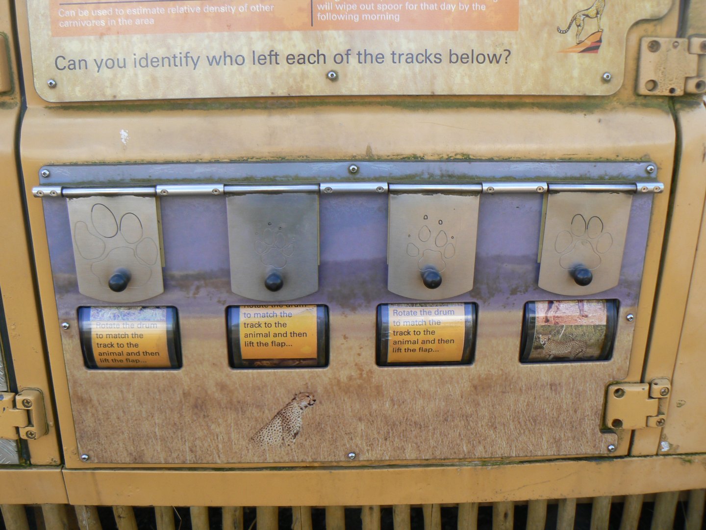 Interpretation in Cheetah Rock - 15 October 2016