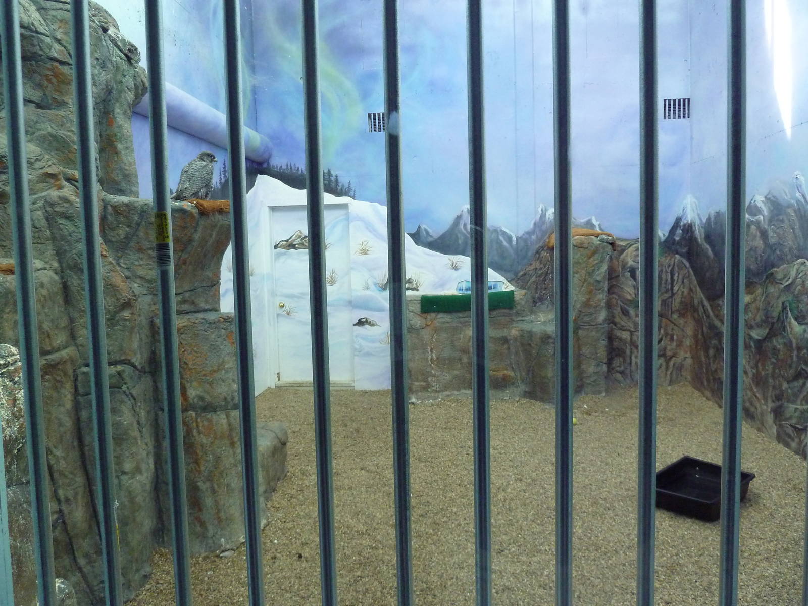 Interpretative Center - Gyrfalcon Exhibit