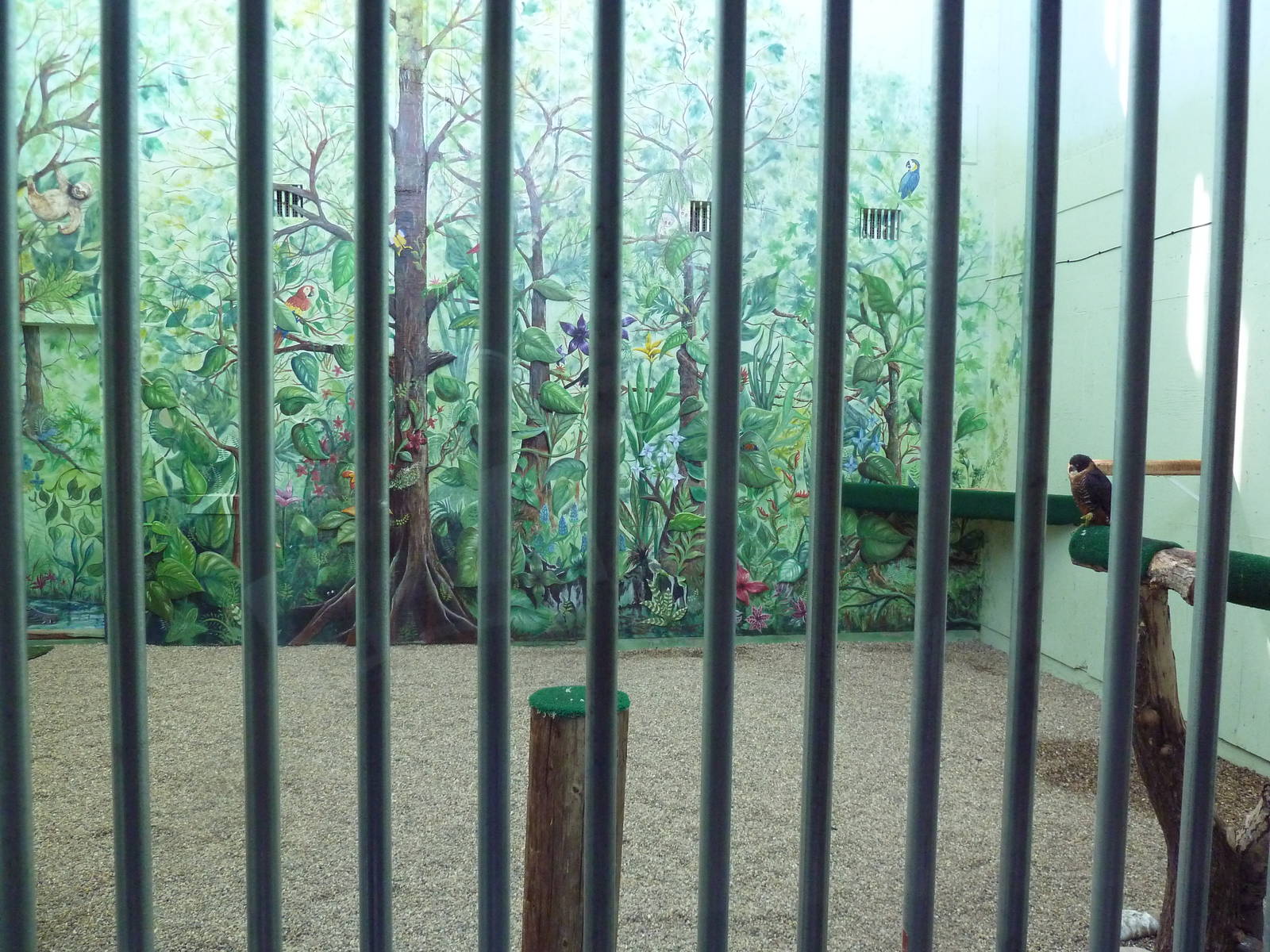 Interpretative Center - Orange-Breasted Falcon Exhibit