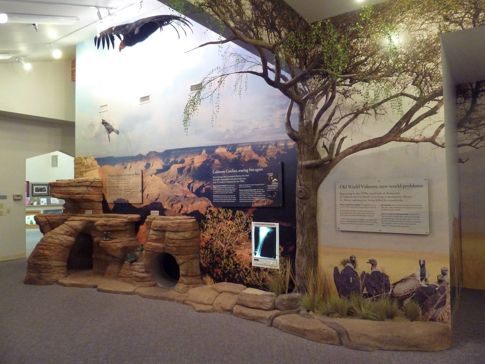 Interpretative Center