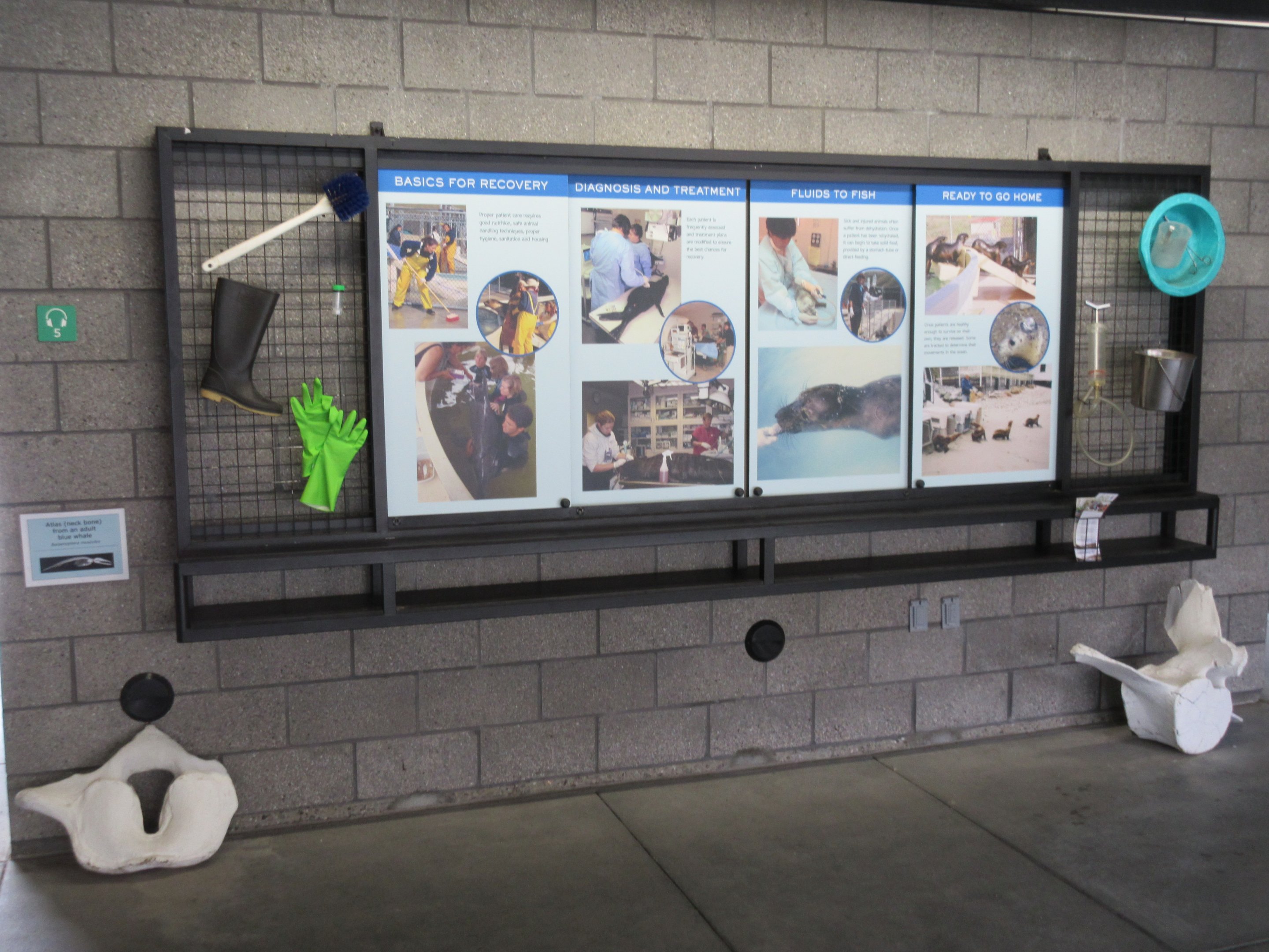 Interpretative Material