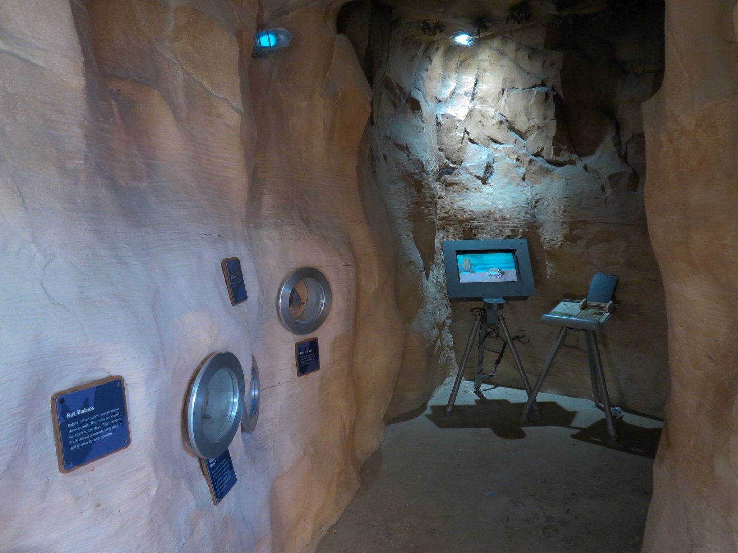 Interpretive Batcave