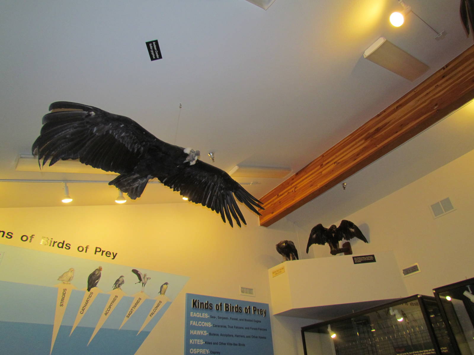 Interpretive Center