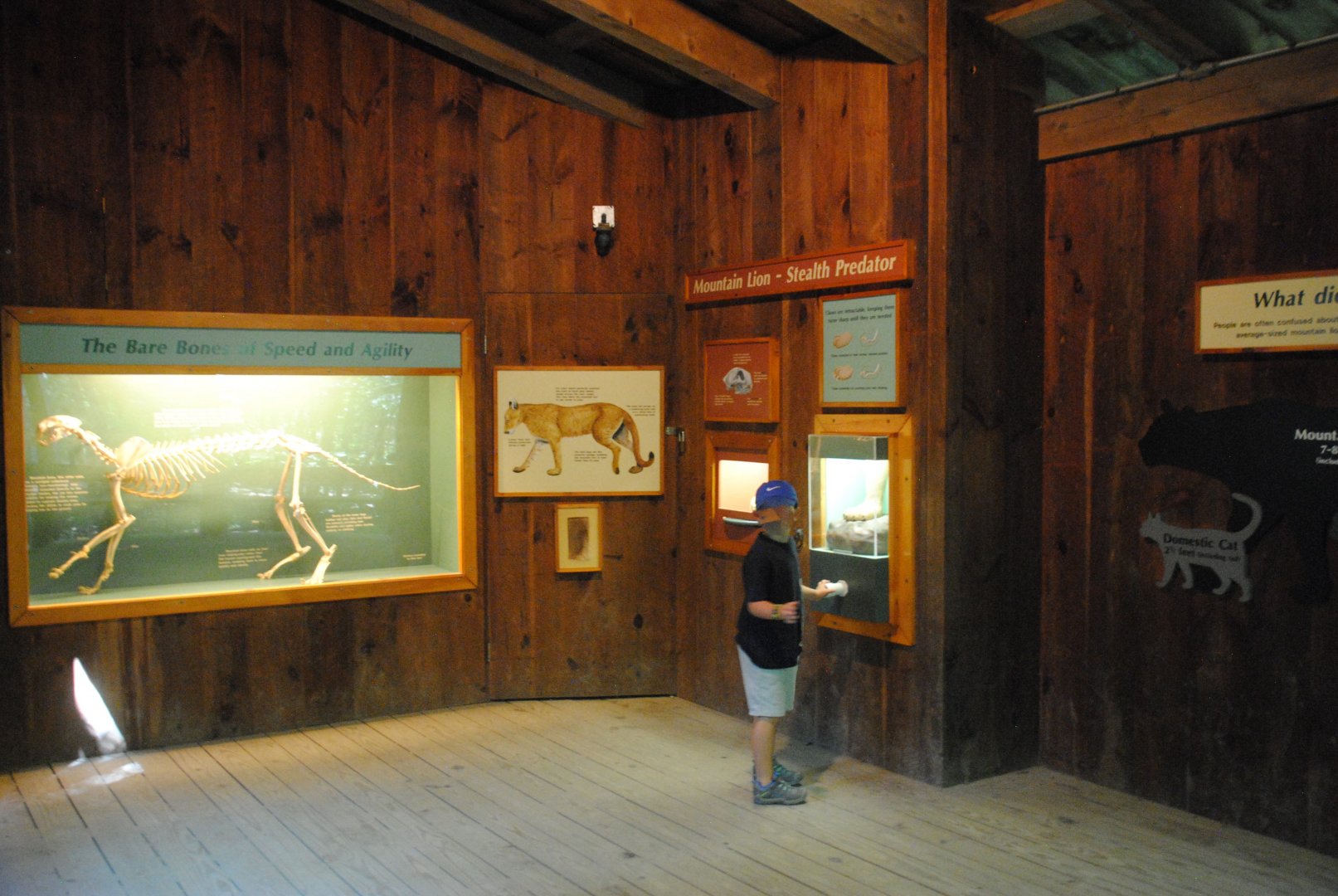 Interpretive materials in the Cougar viewing shelter