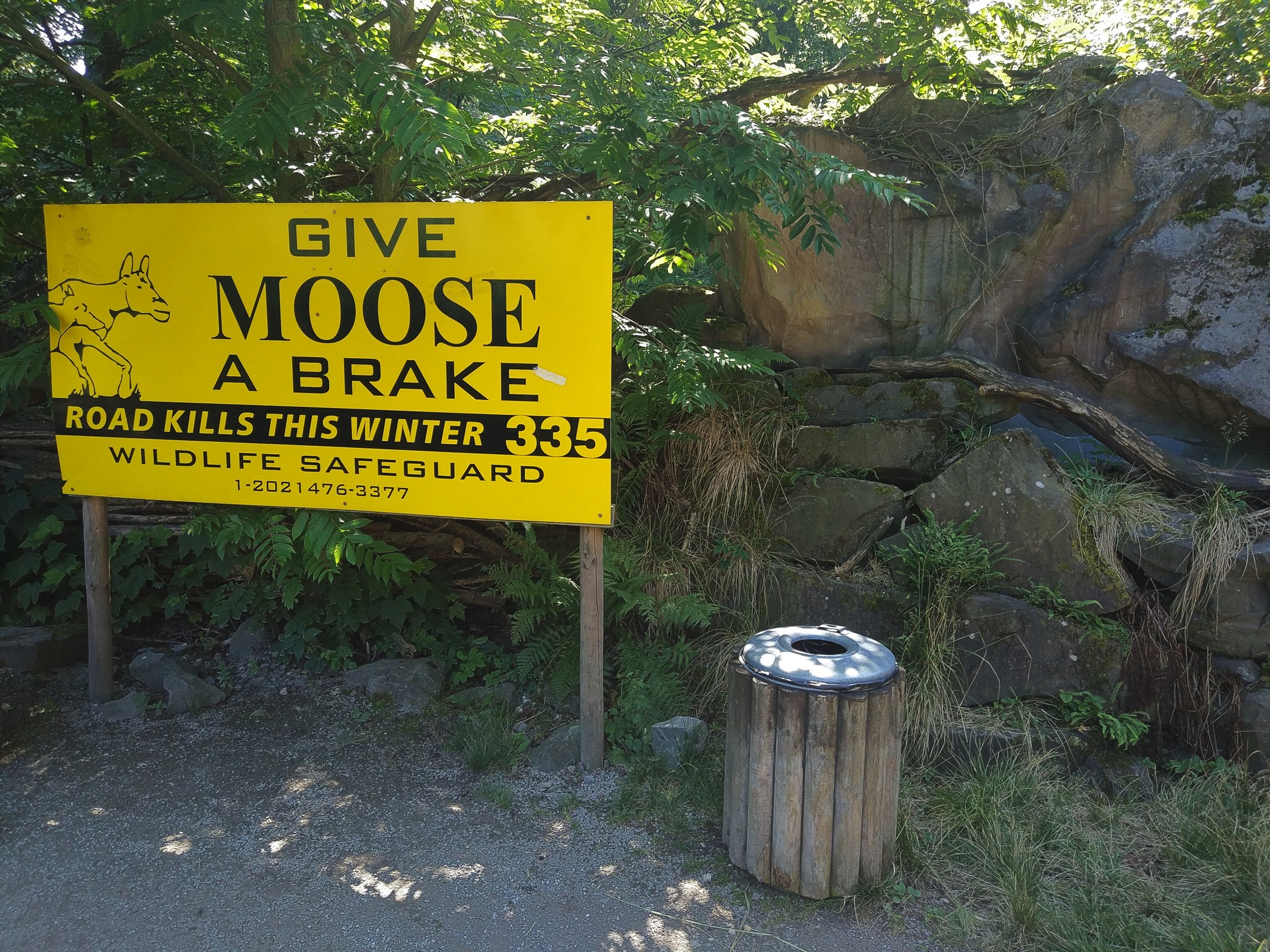 Interpretive Signage