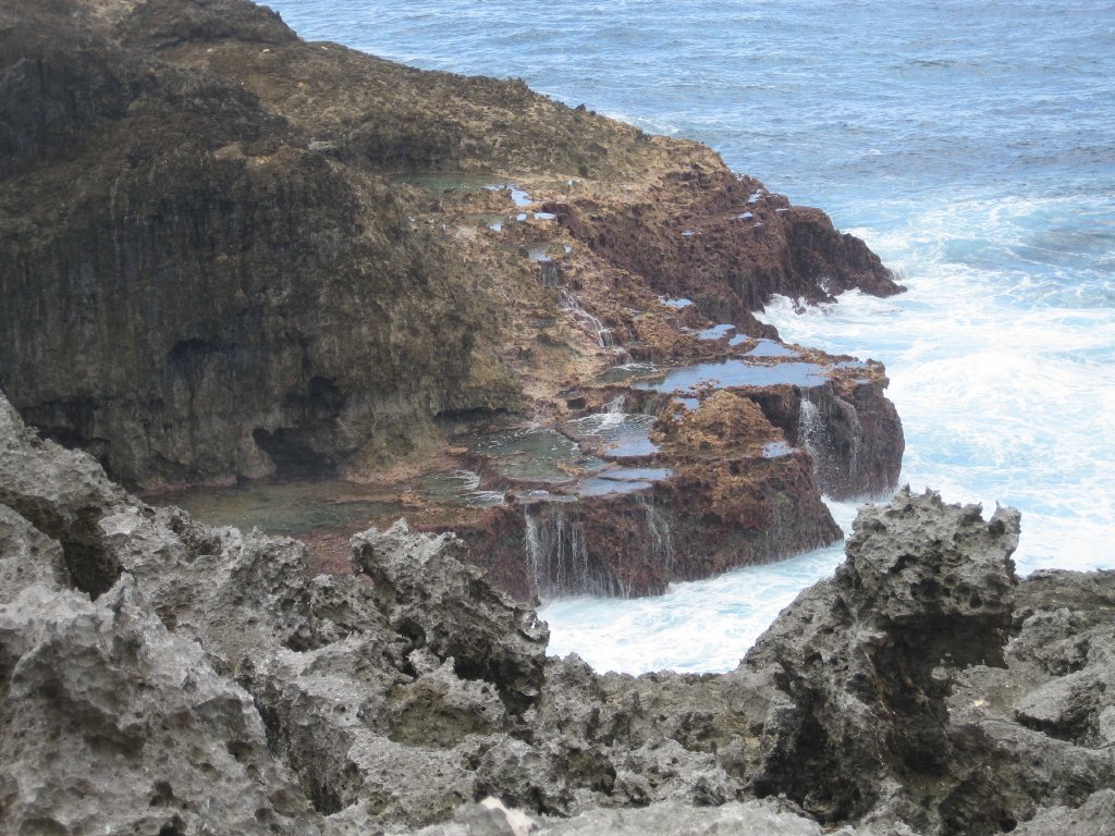 Intertidal pools