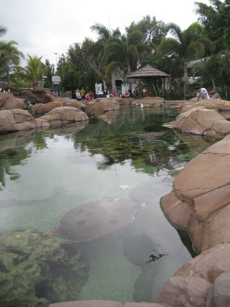 Intertidal Touch Tank
